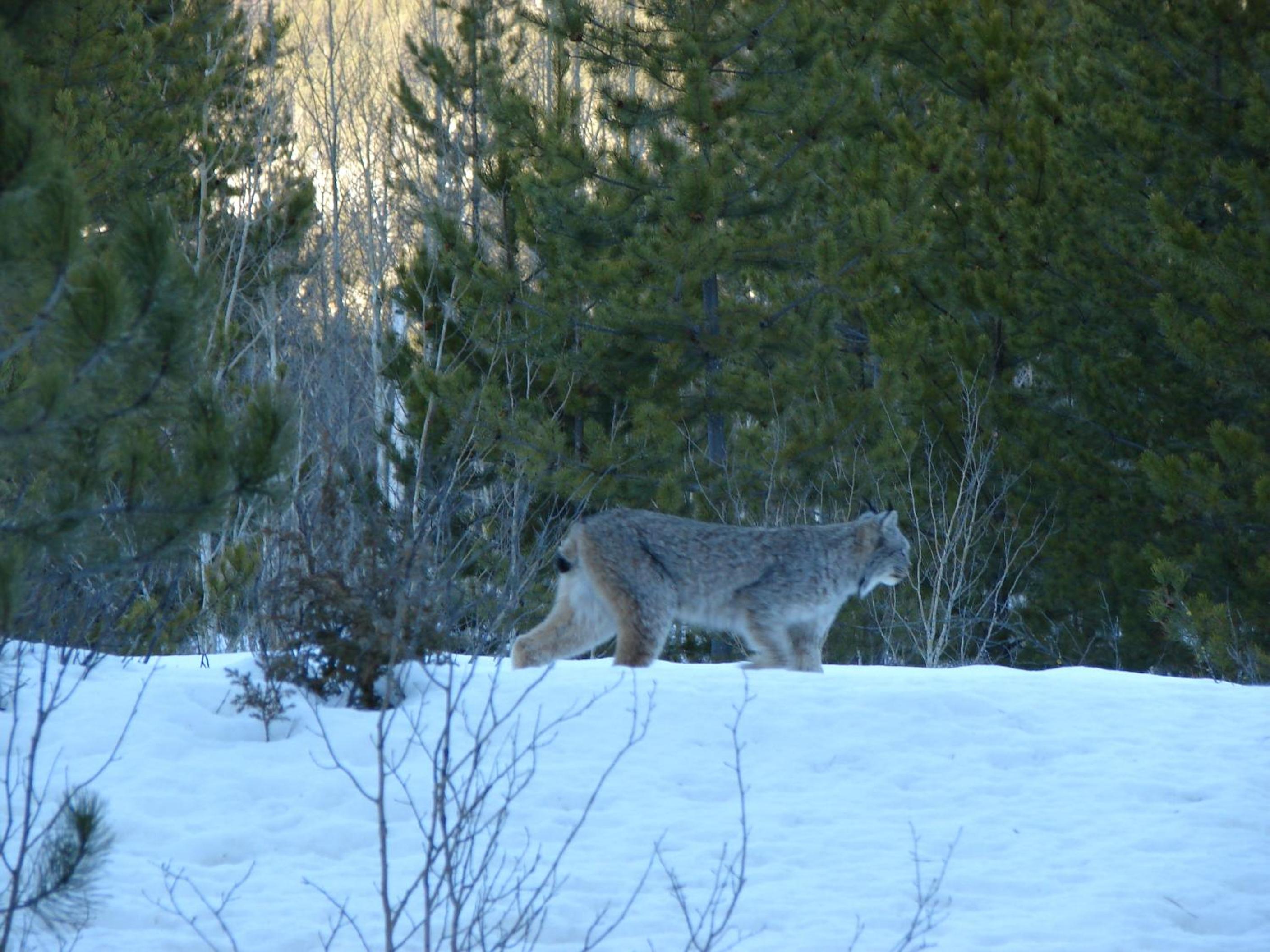 Photo 49