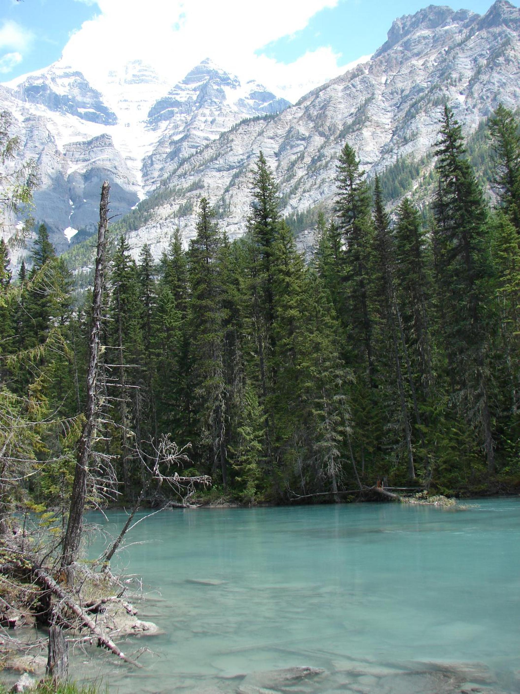Photo 45