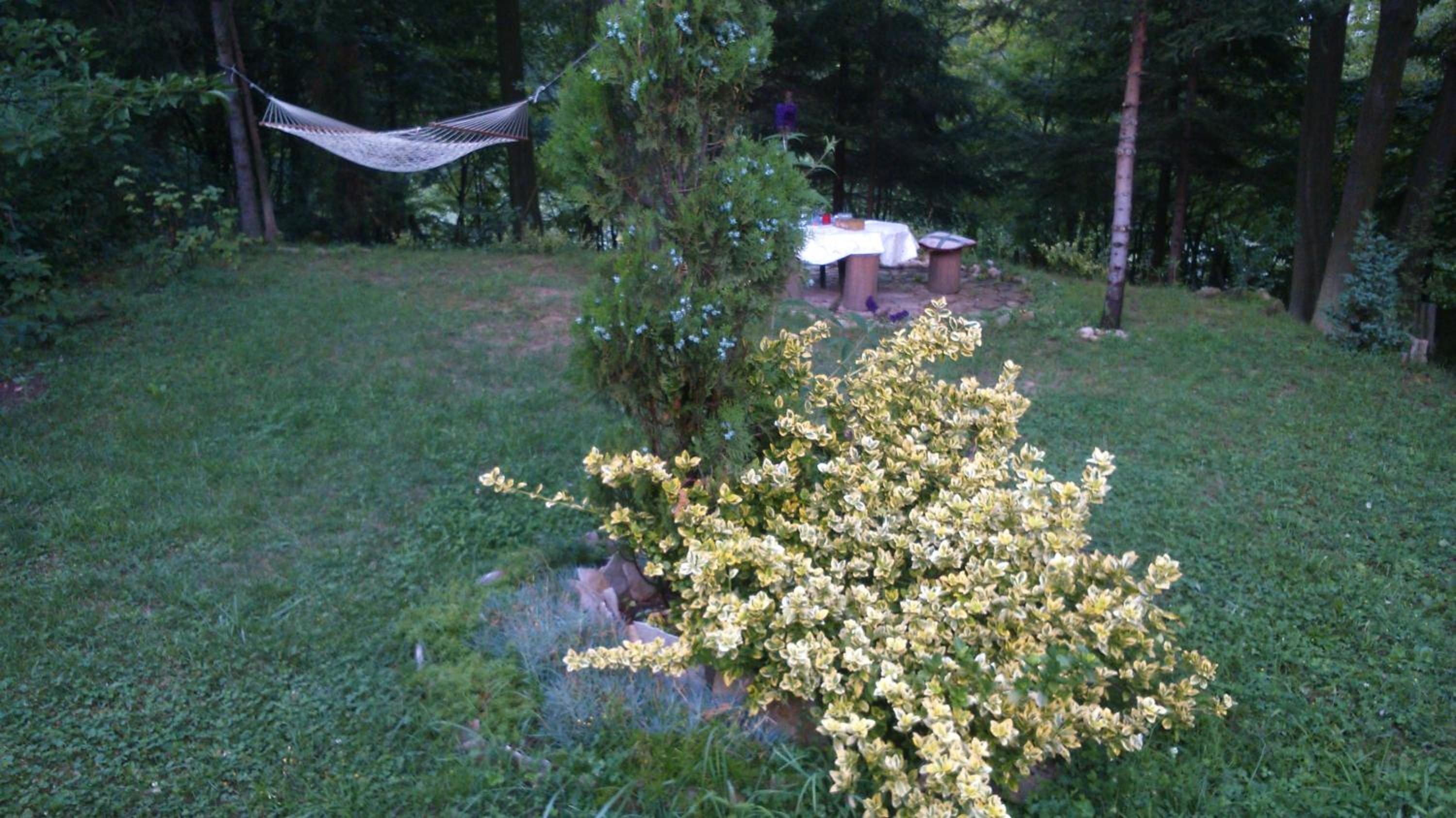 Tamaris Holiday Home