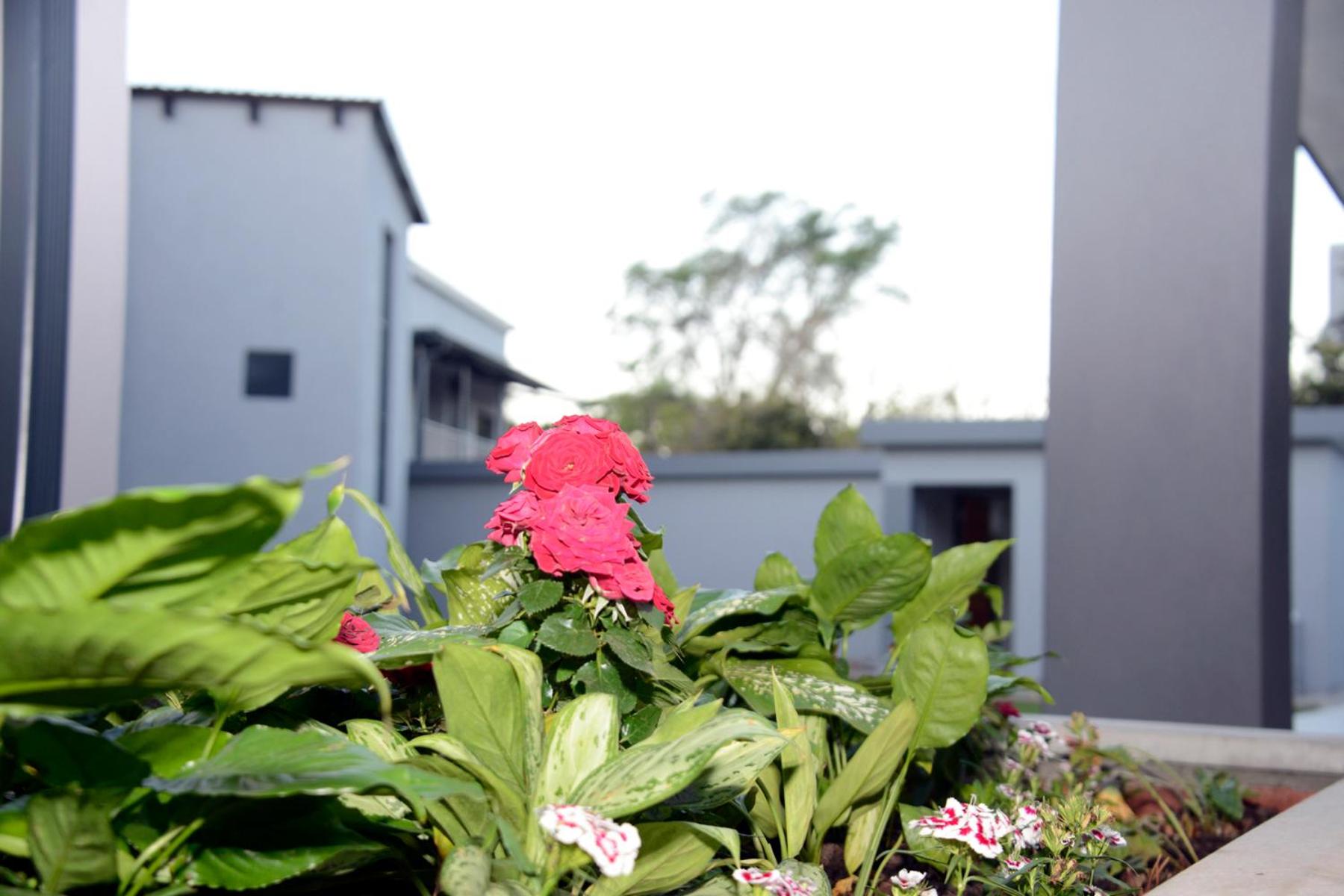 Green Side accommodation, photo 94