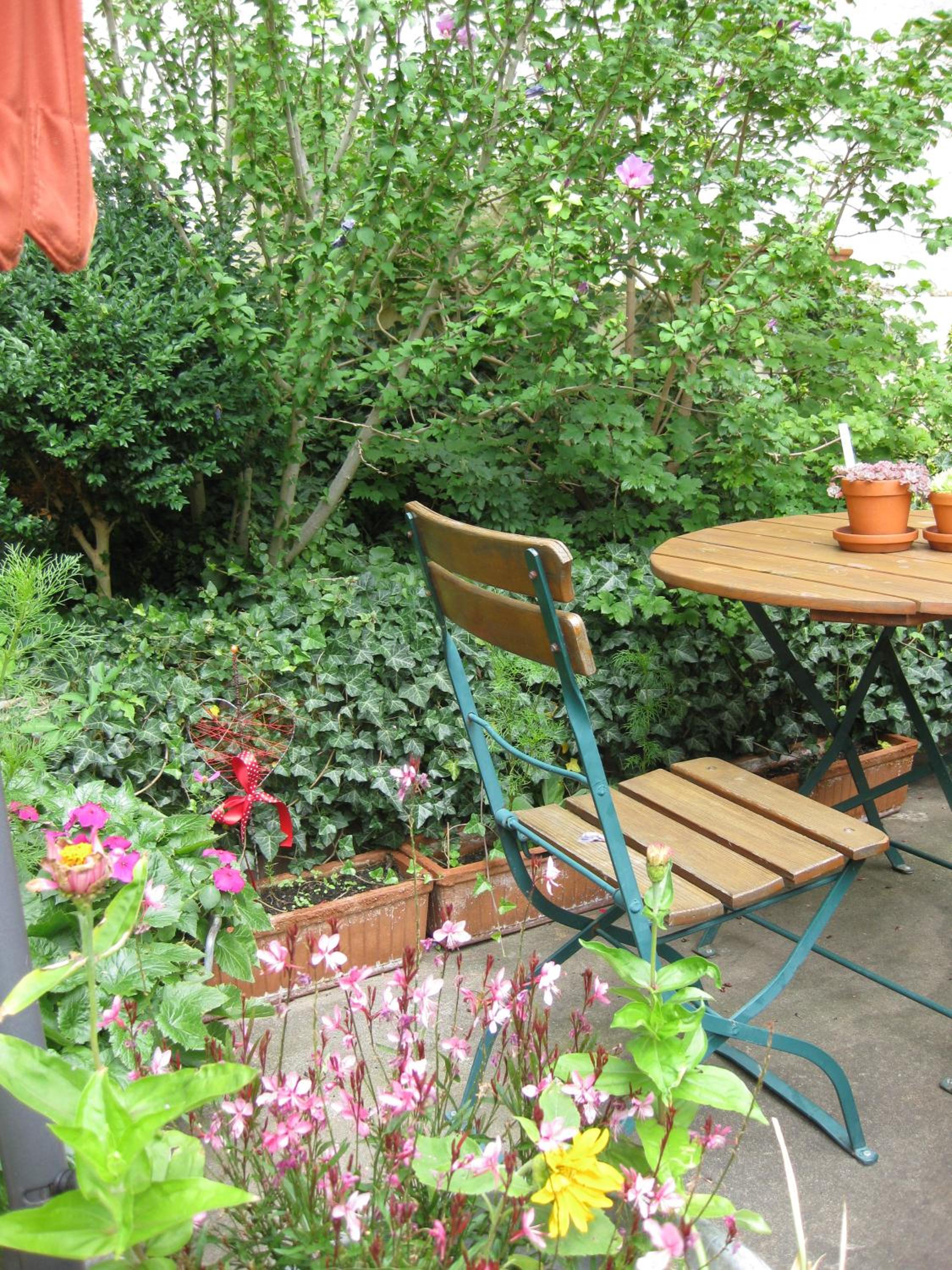 Photo 42