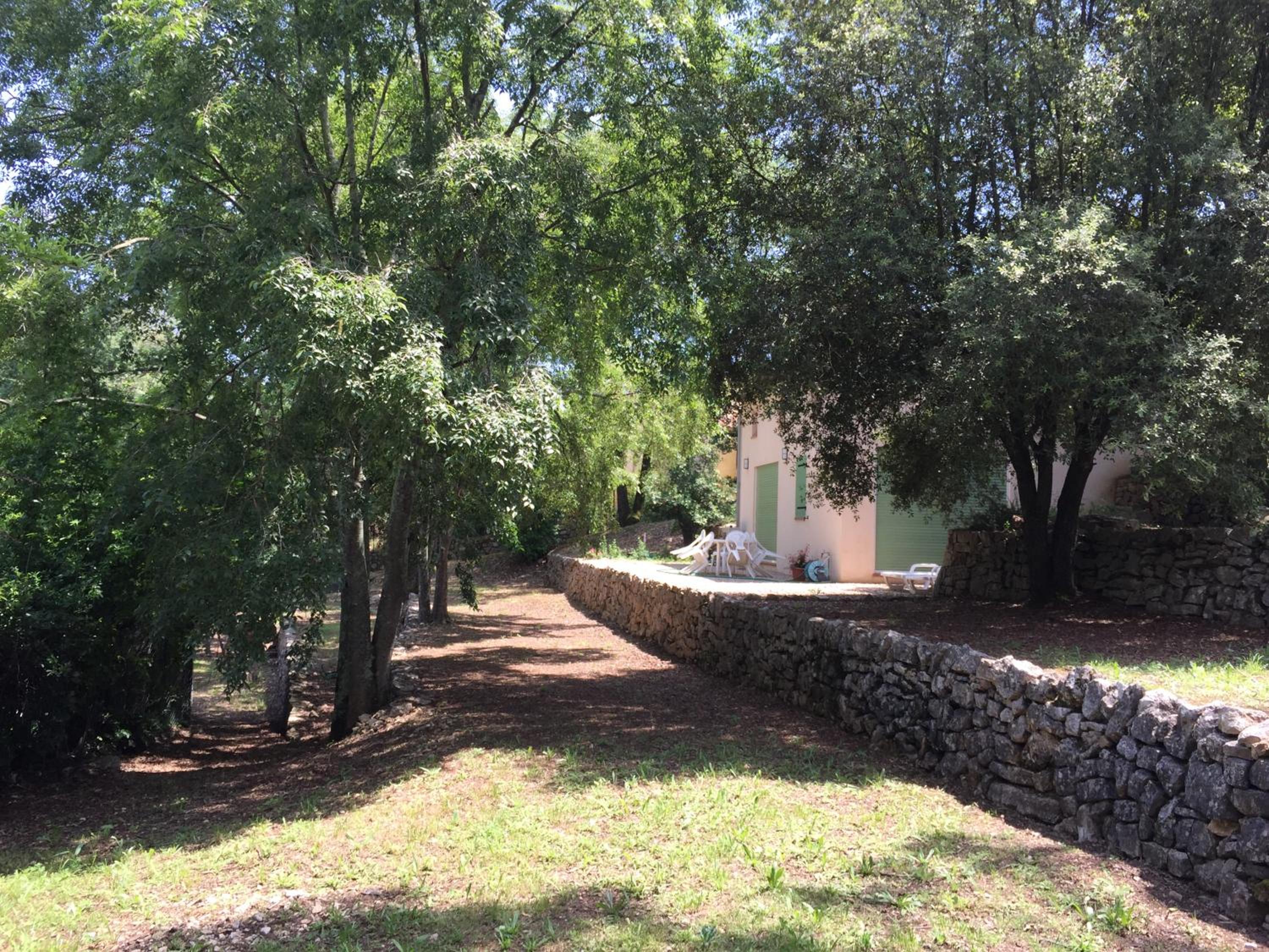 Photo 19