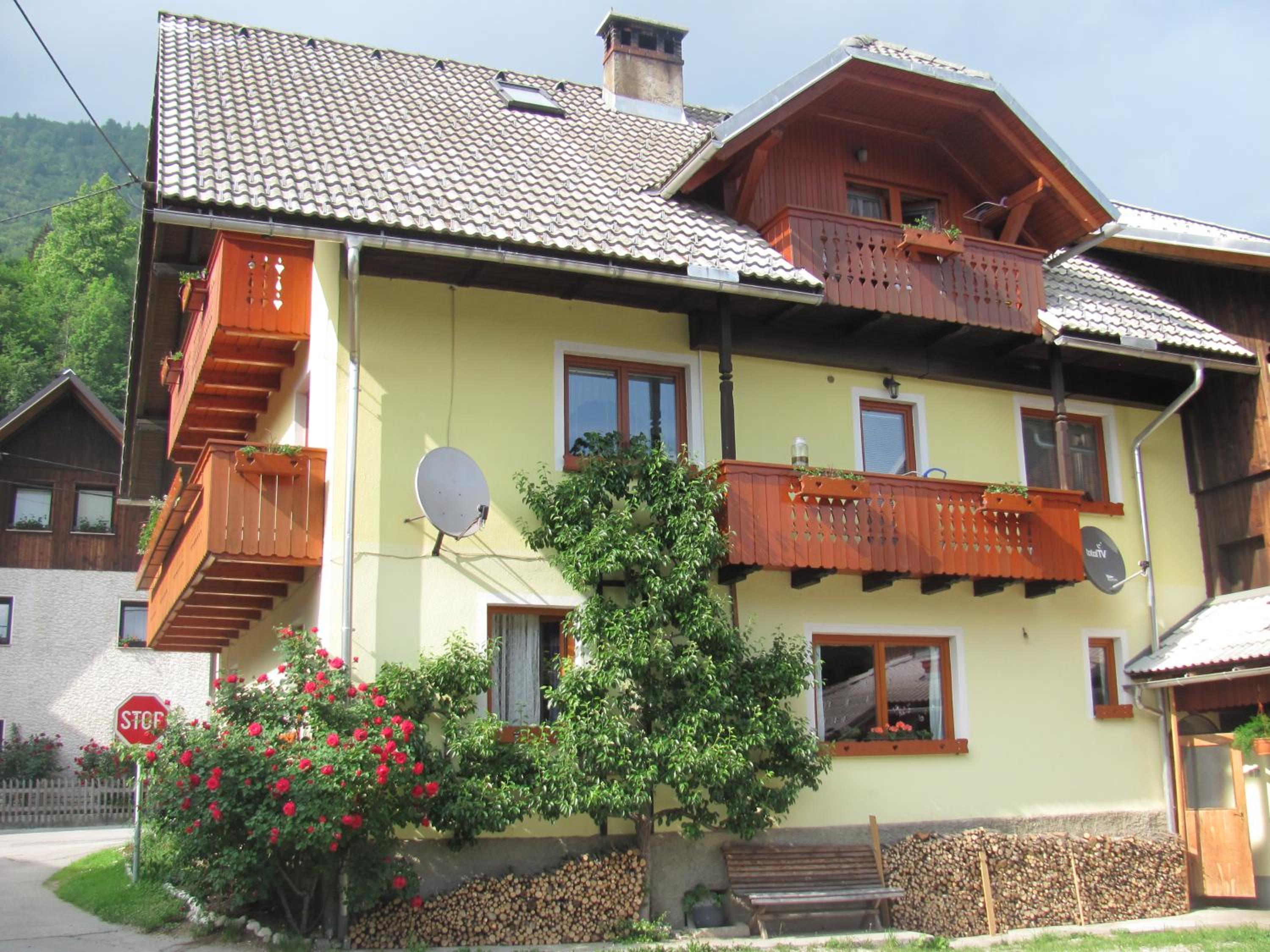 Apartments and Rooms Hodnik Slavko view 2