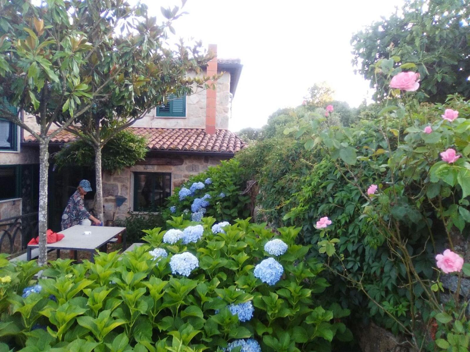 Aldea Figueiredo view 4