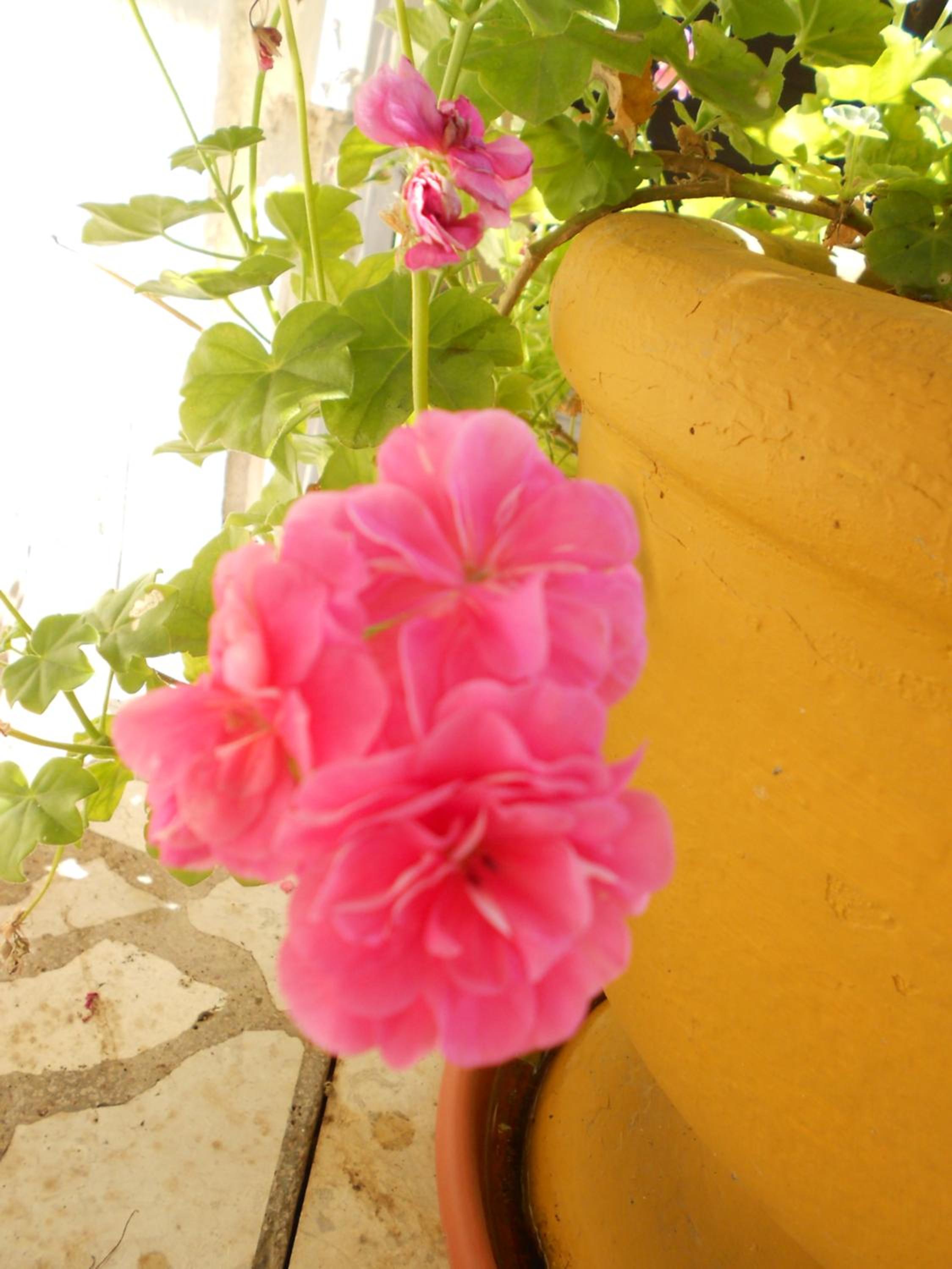 Photo 49