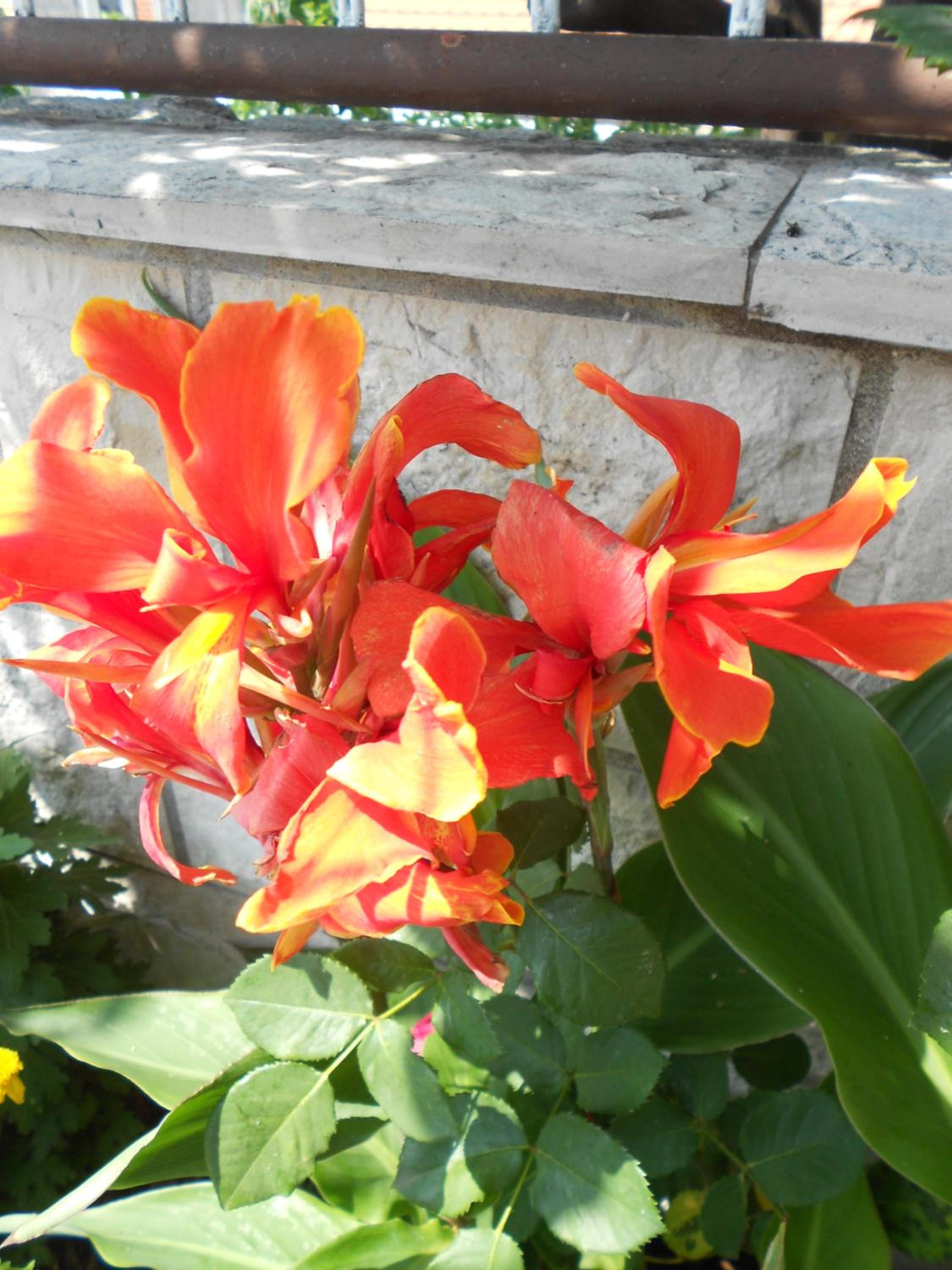 Photo 52