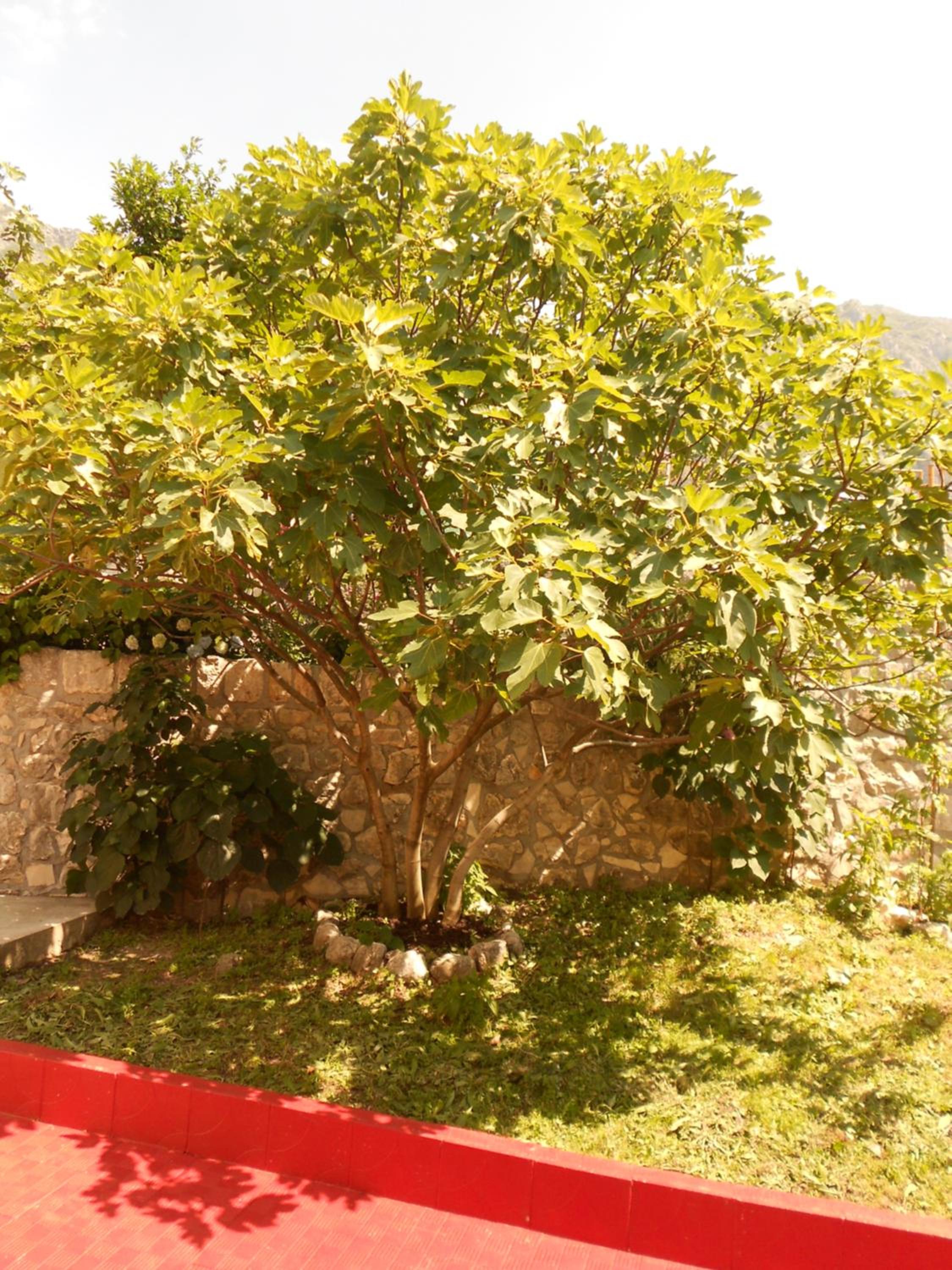 Photo 57