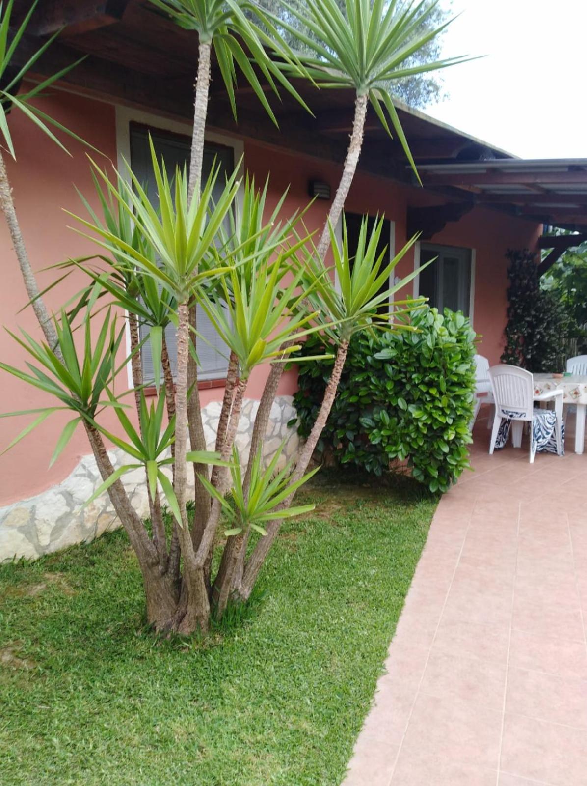 Casa Vacanze Mimose
