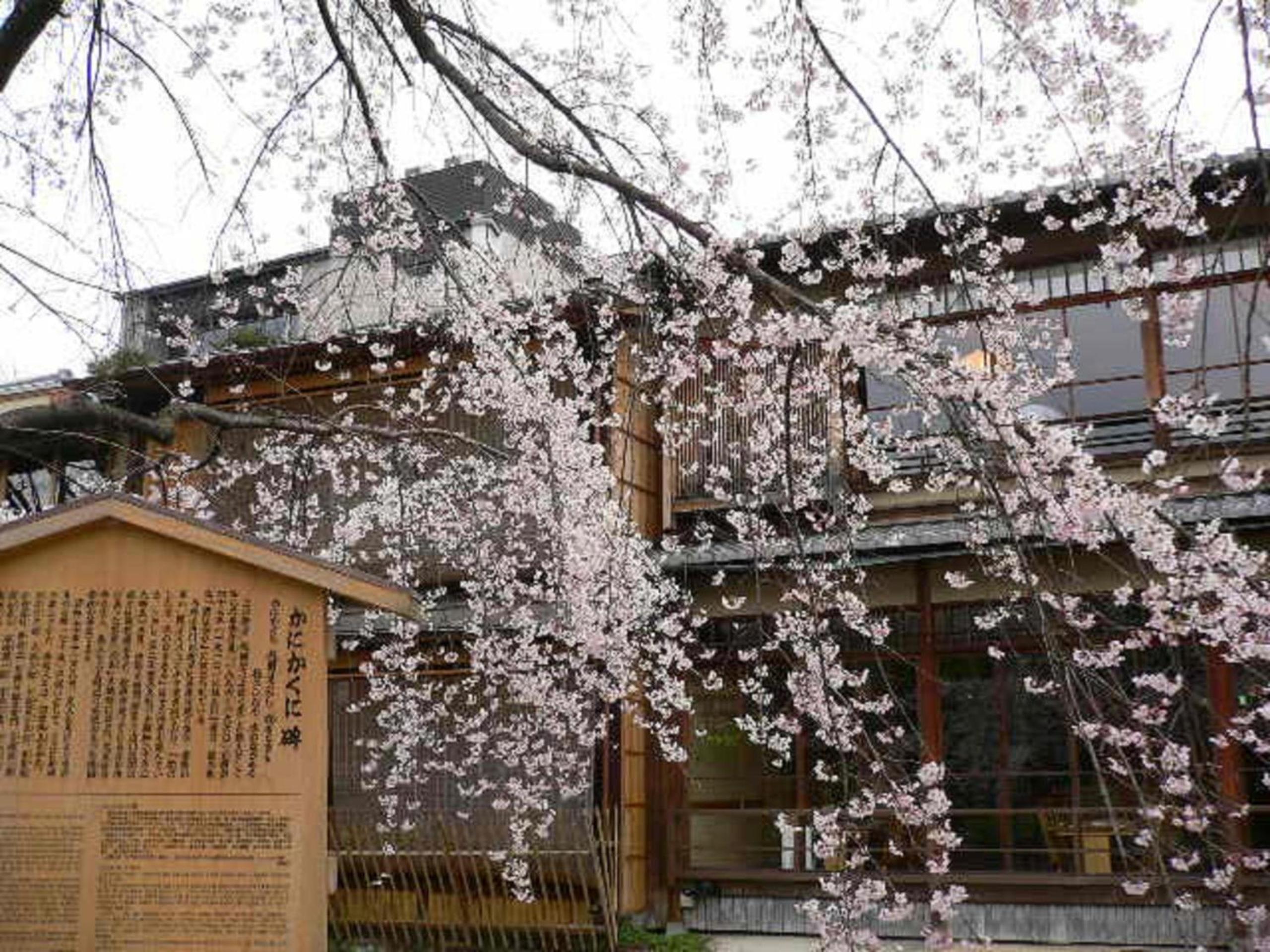 Kamuroan
