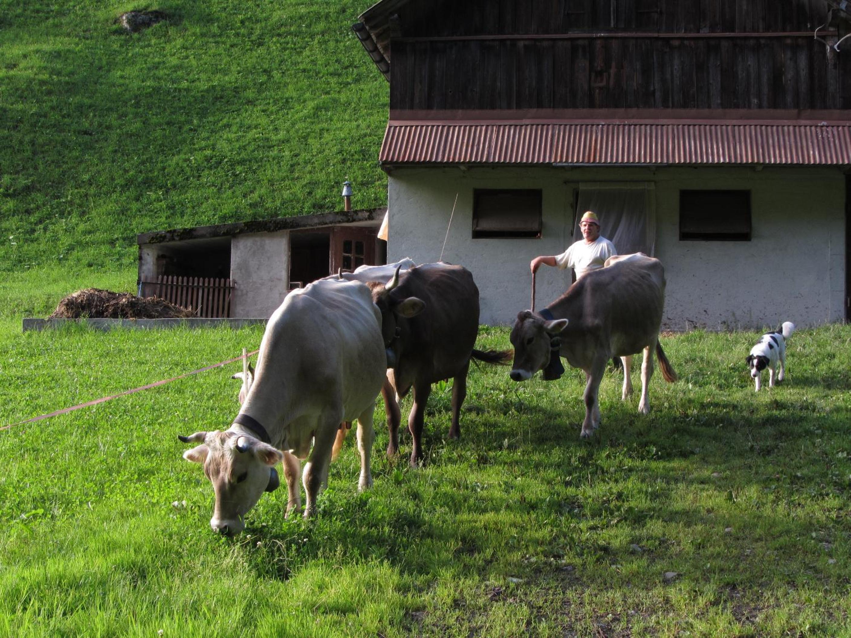 Ferienstudio in Unterschächen