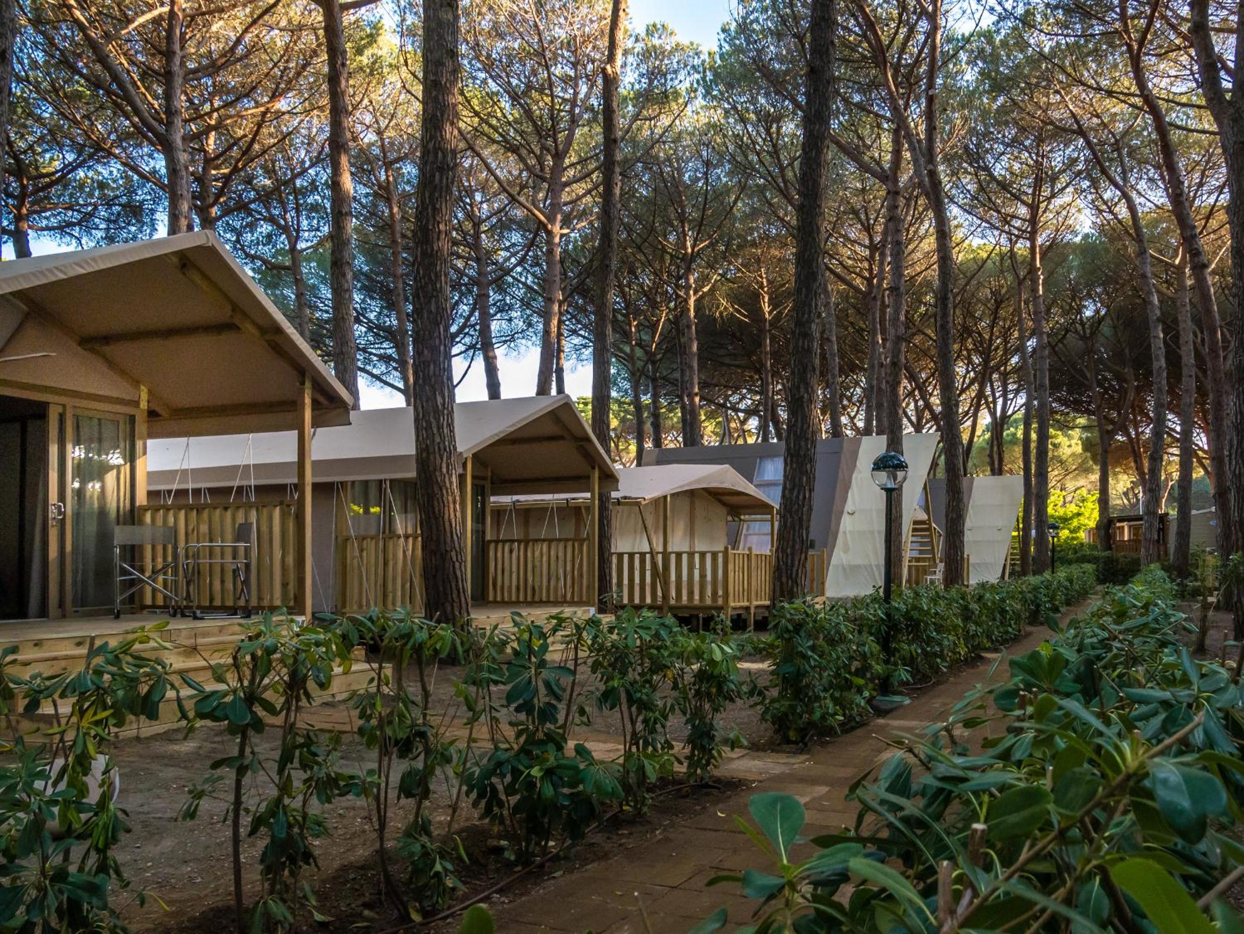 Camping Free Beach