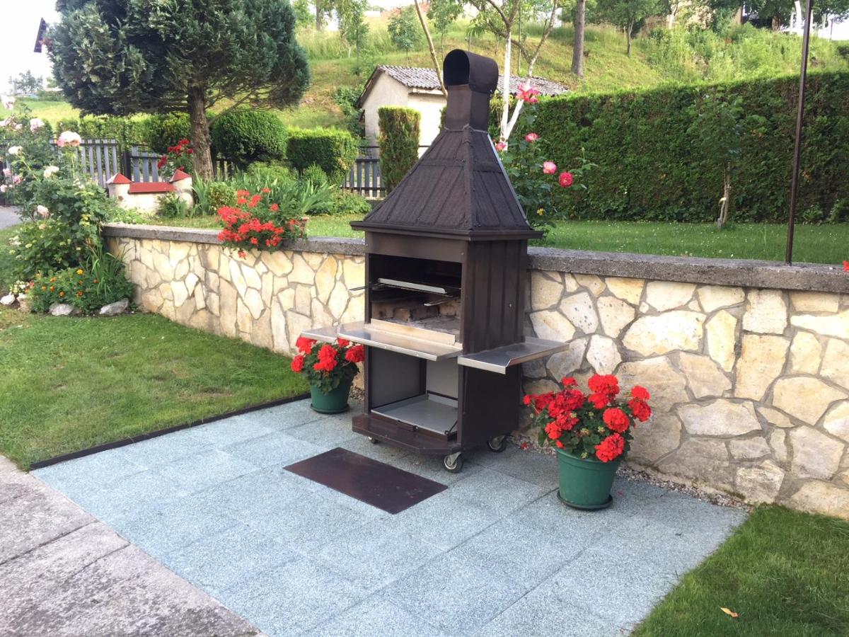 Apartman Belin Ogulin view 4