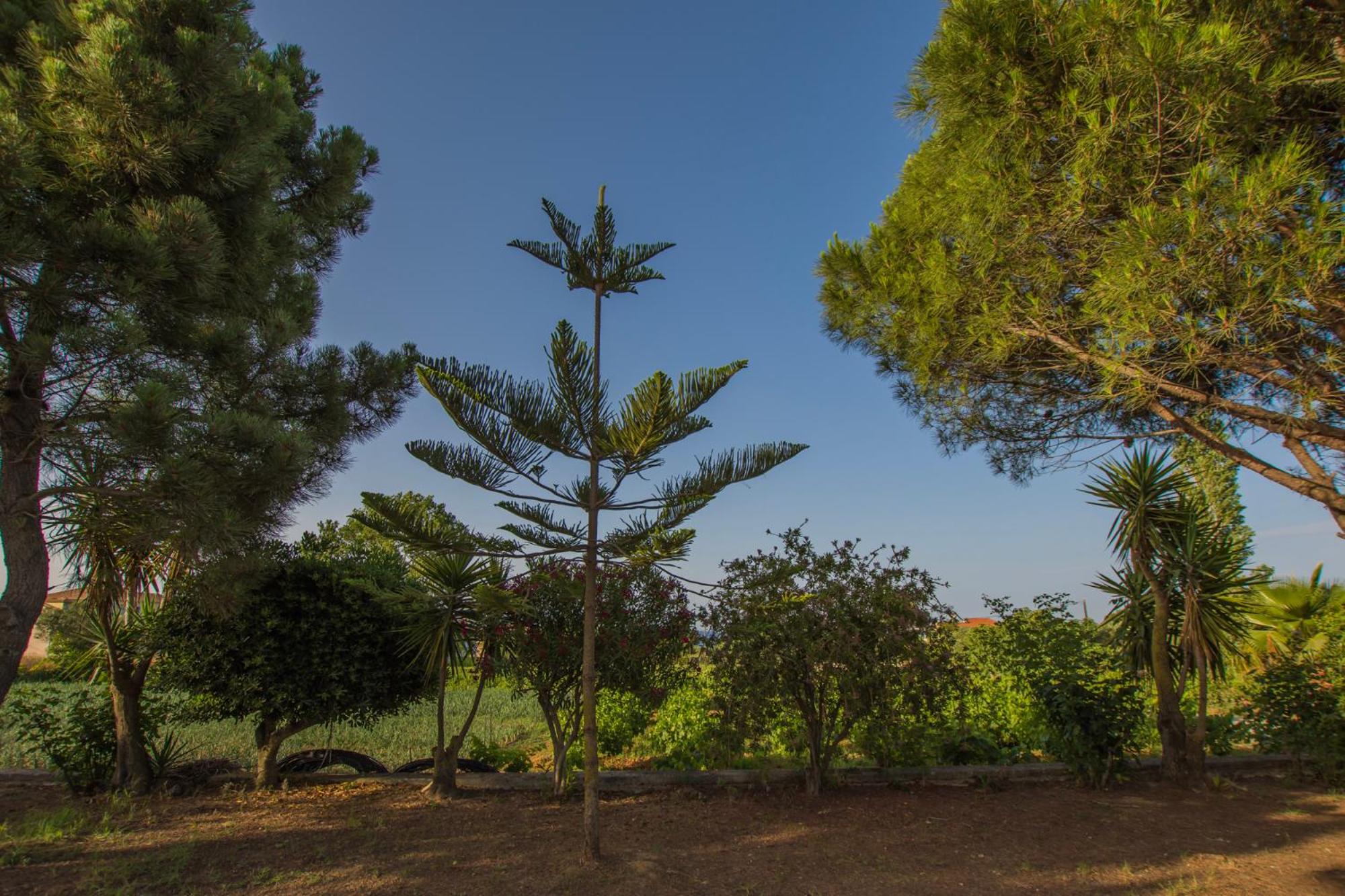 Porto Giardino Apartments view 5