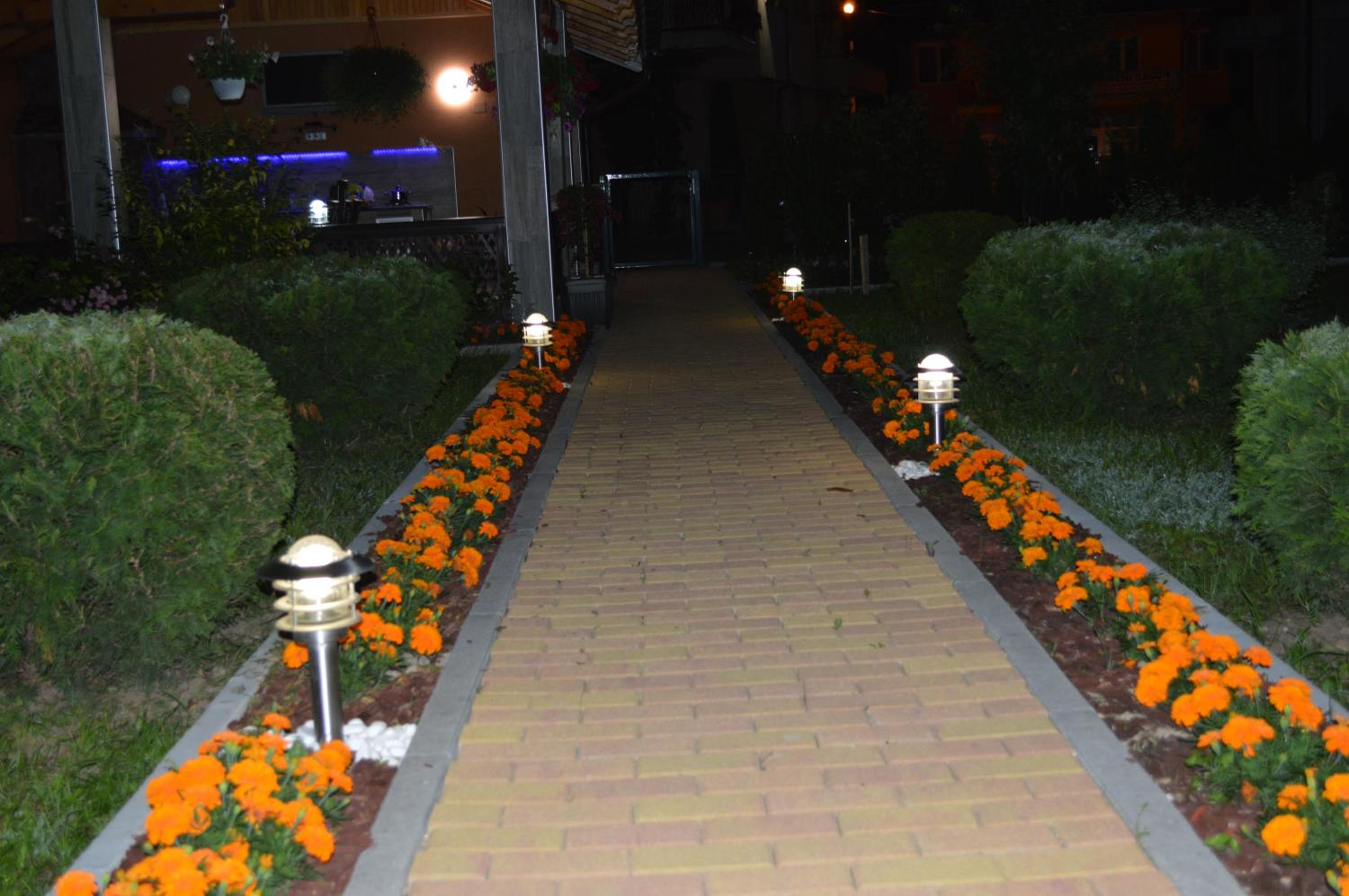 Photo 28