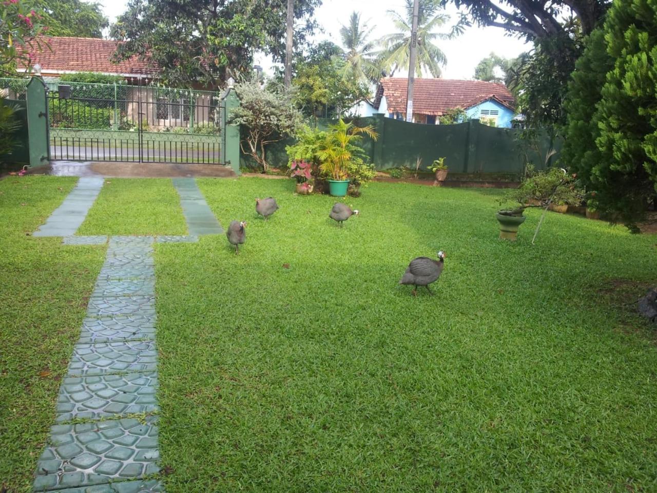 Photo 23