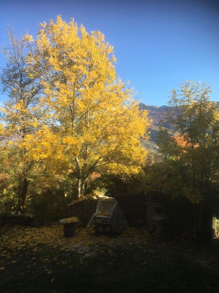 Photo 34
