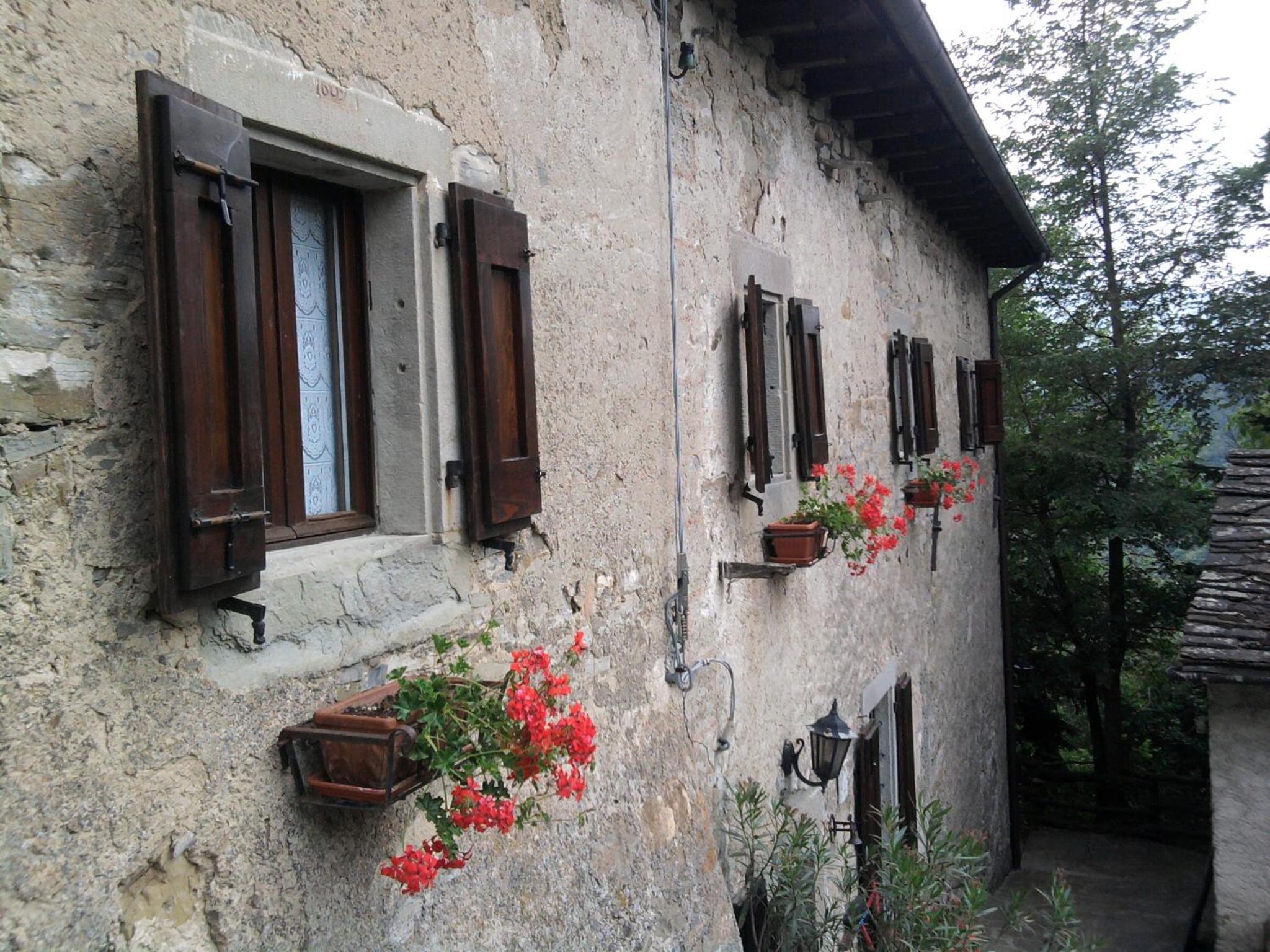Photo 41