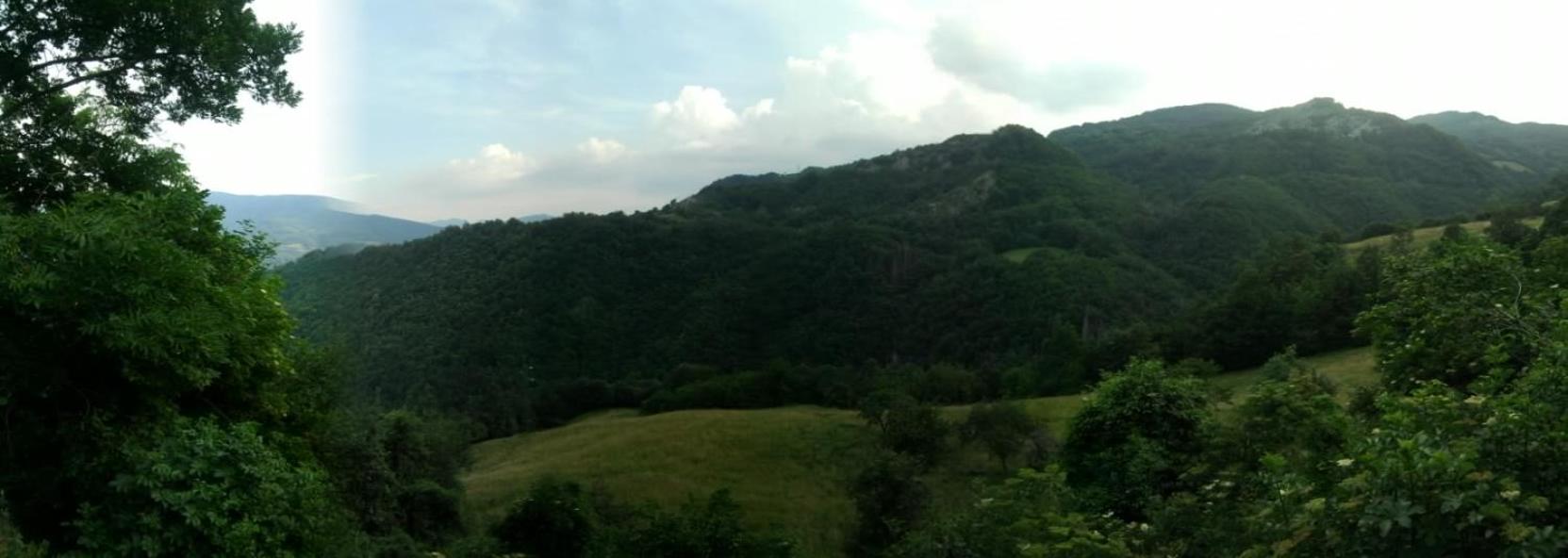 Photo 42