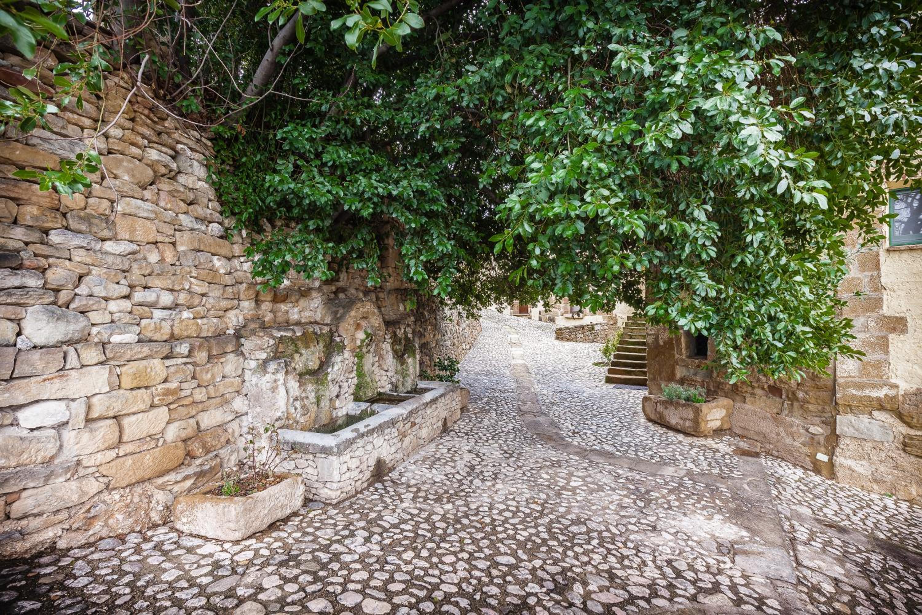 Guara Rural