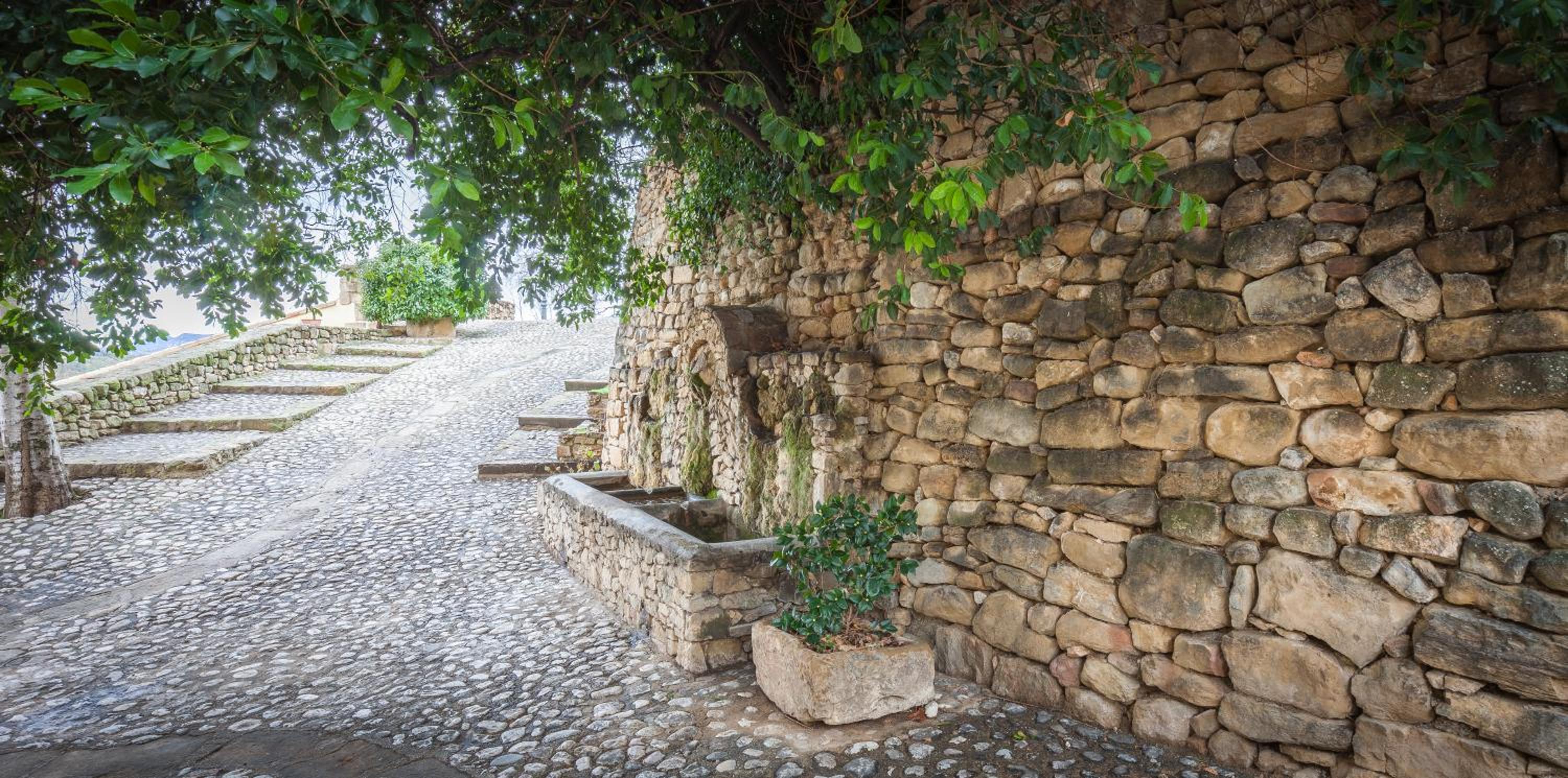 Guara Rural