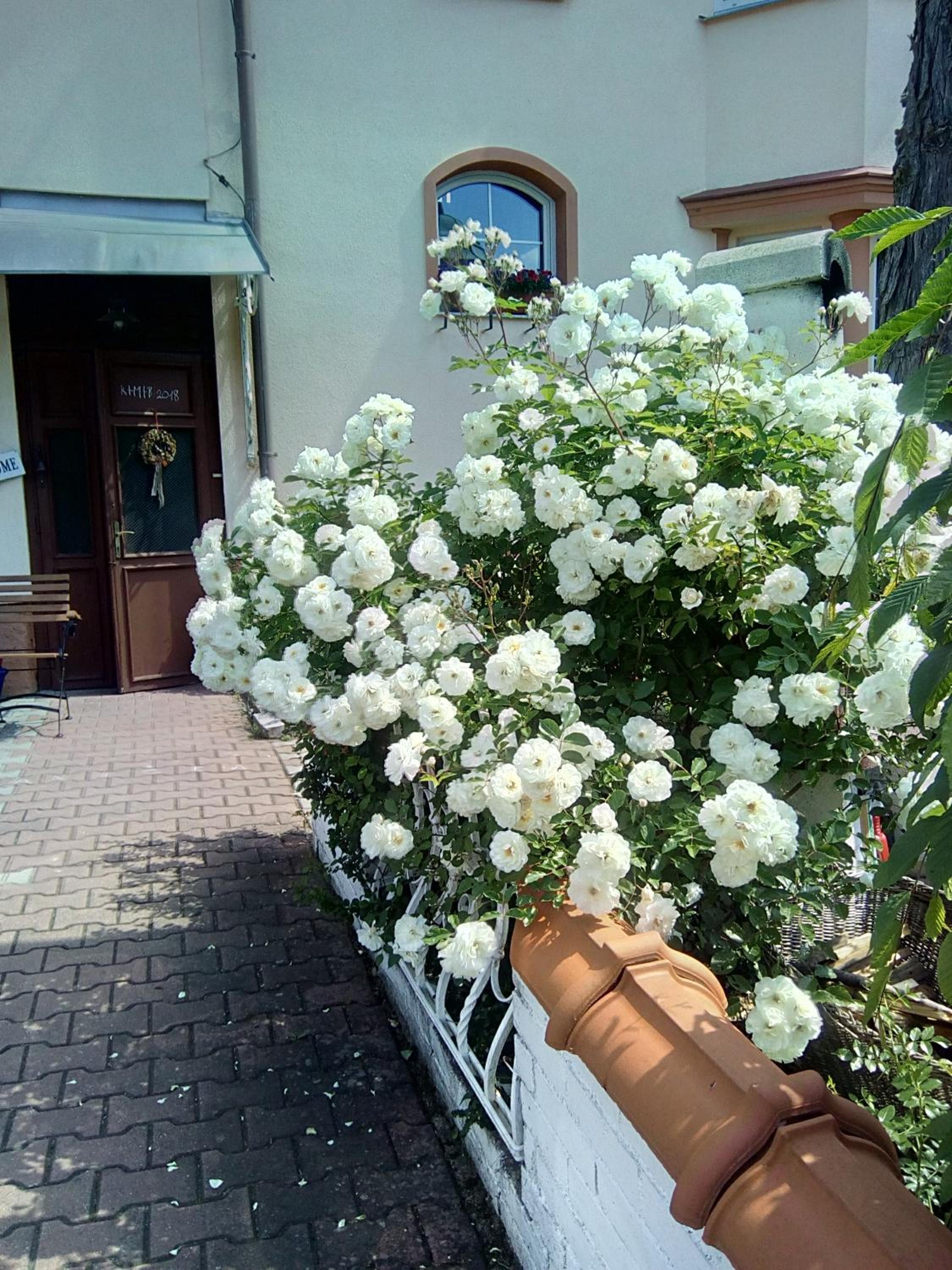Penzion Villa Marion