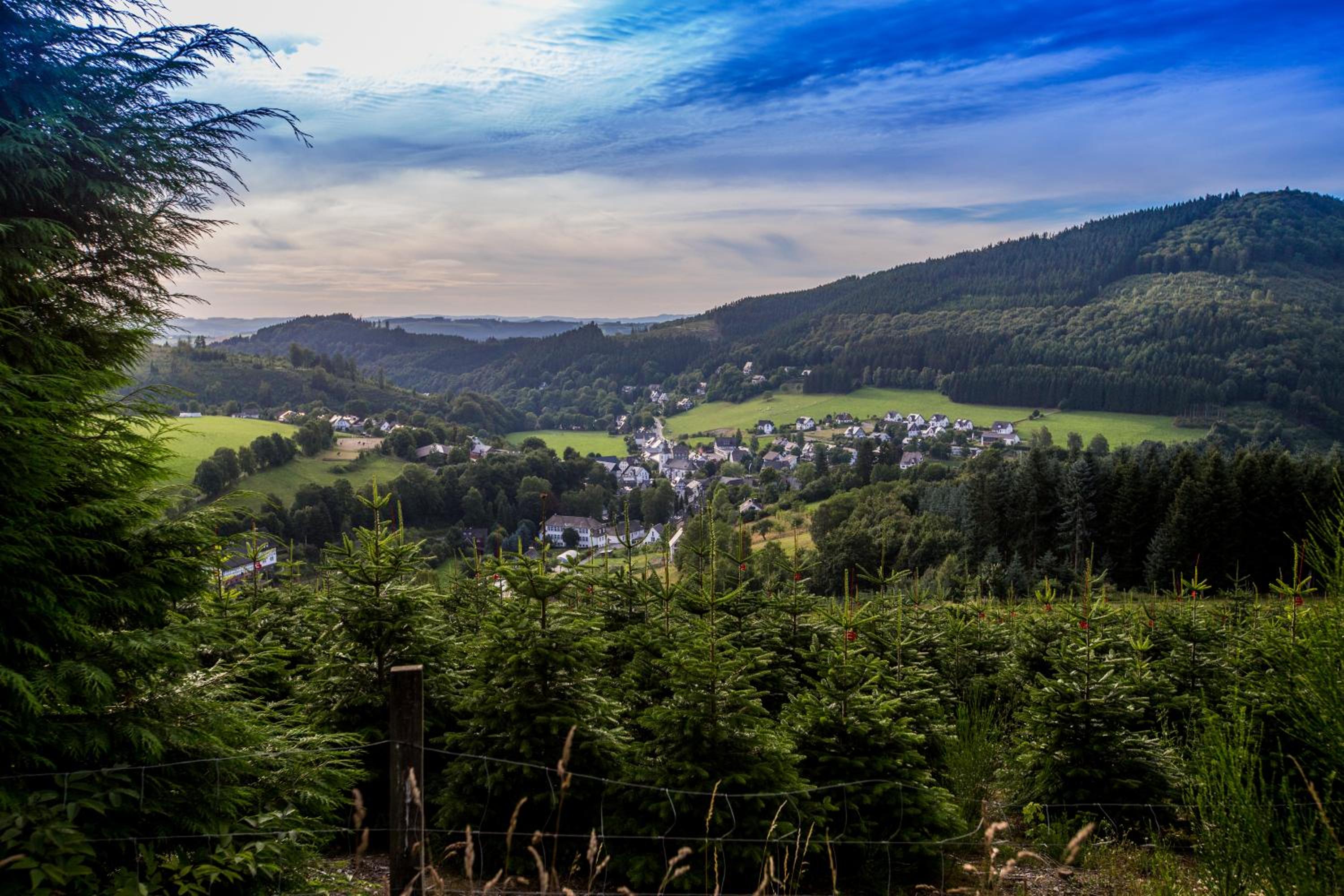 Feldmann-Schütte en Schmallenberg — other