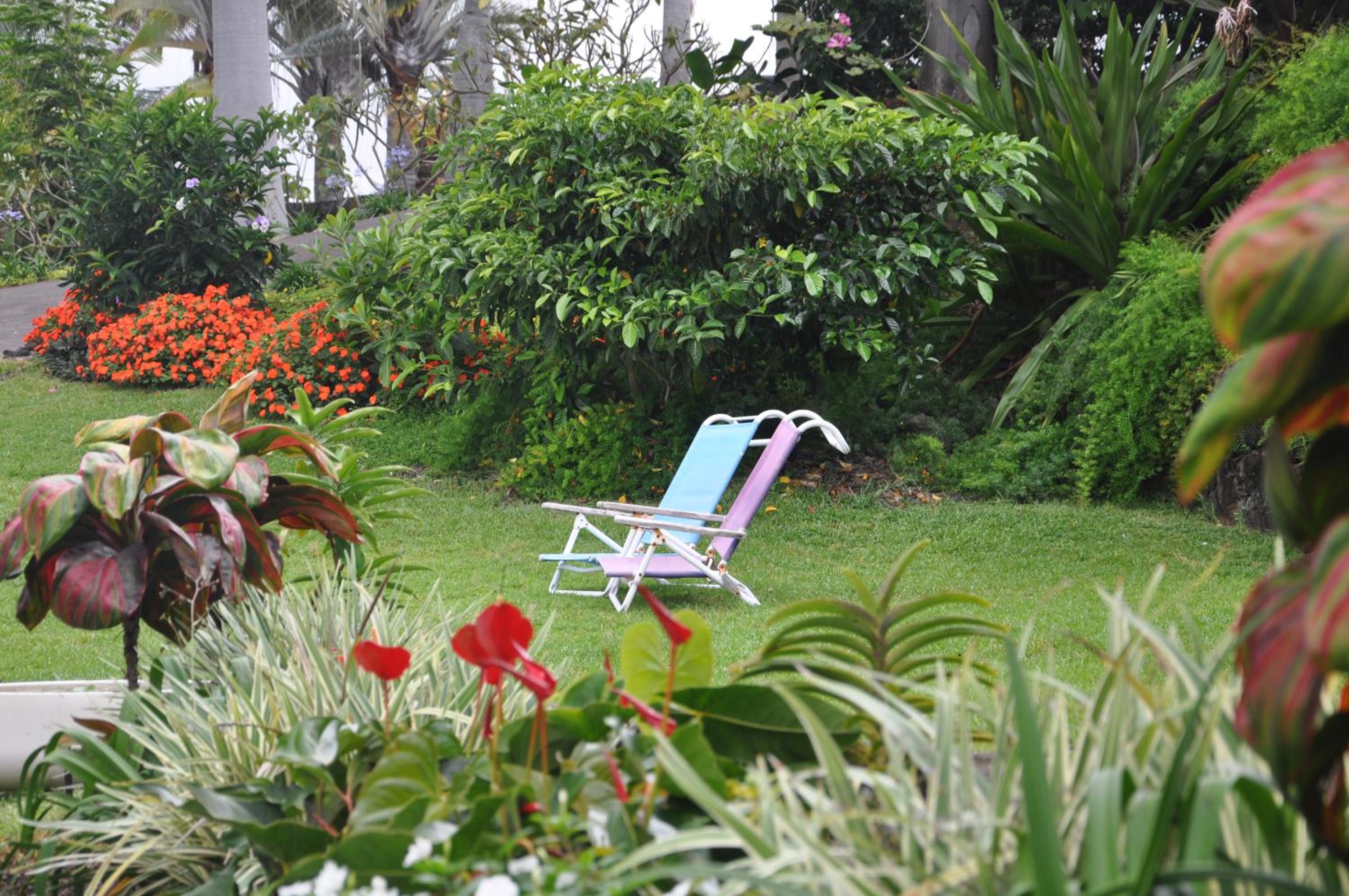 The Great Kona Escape view 5