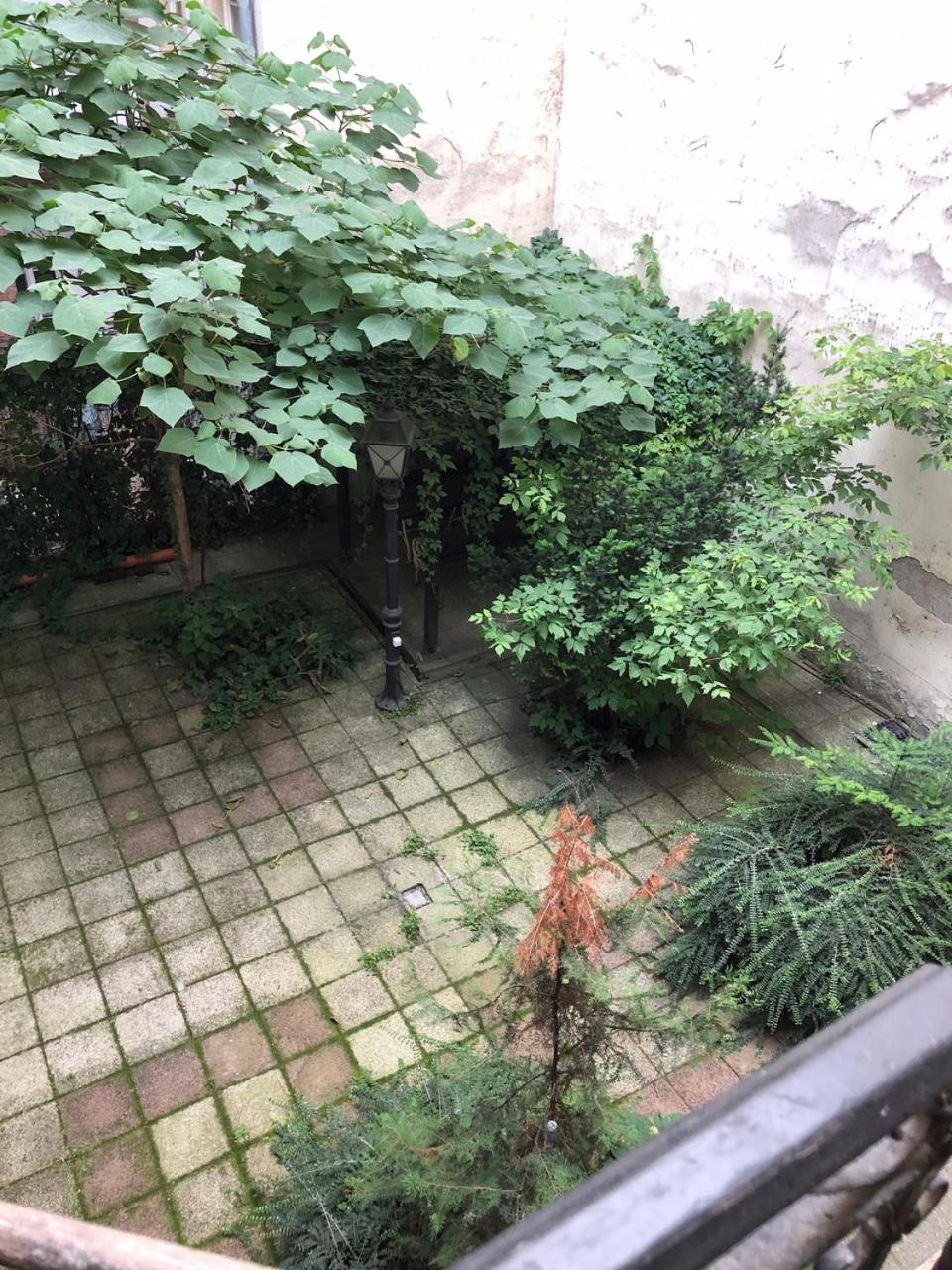 Photo 26