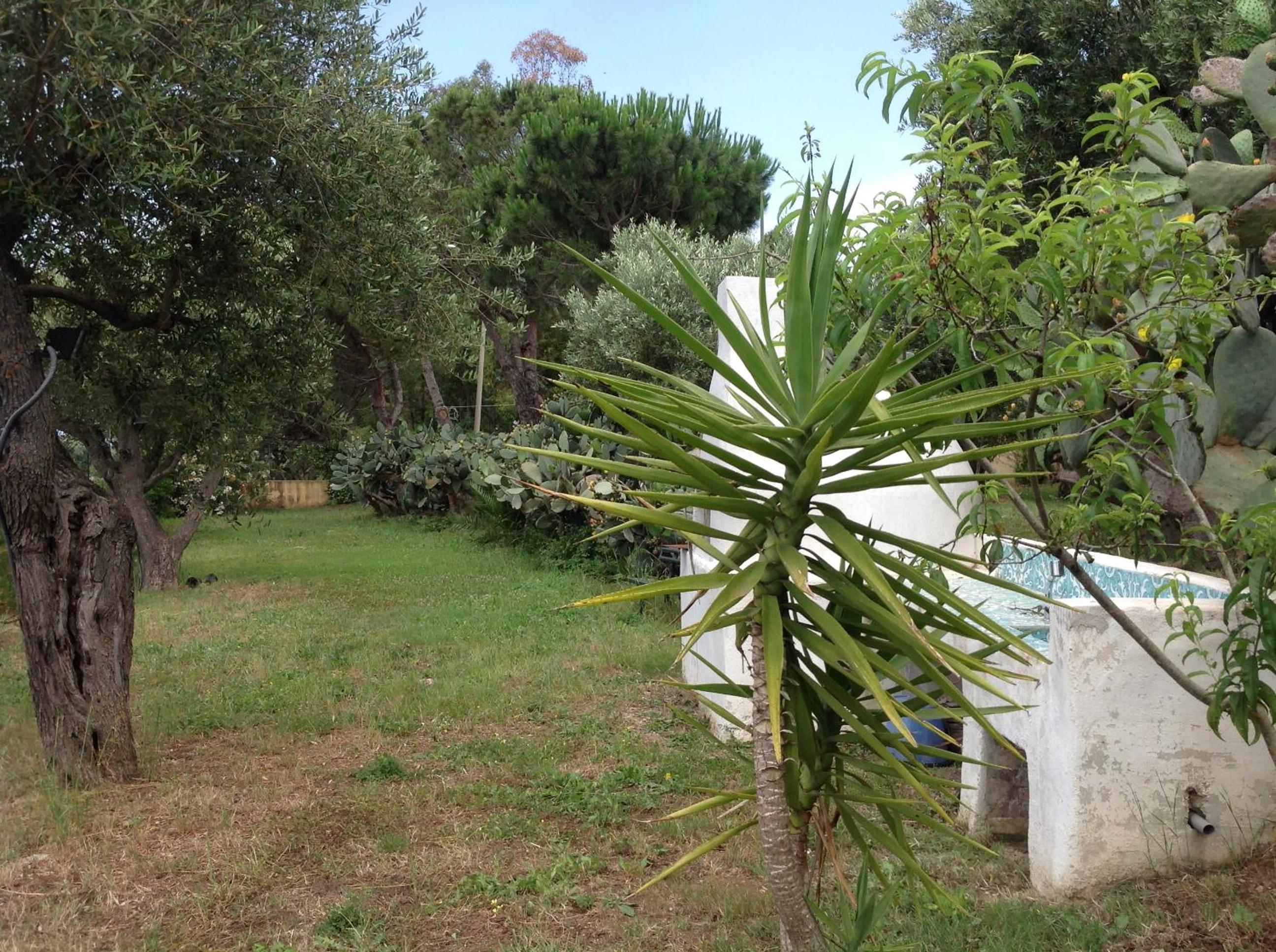 Photo 28