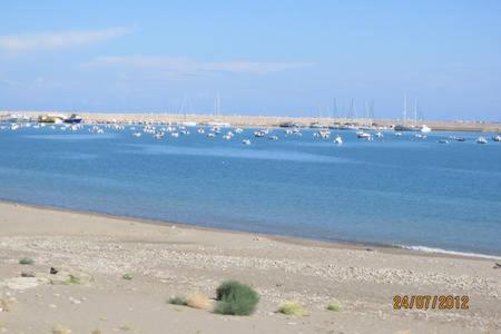 Photo 19