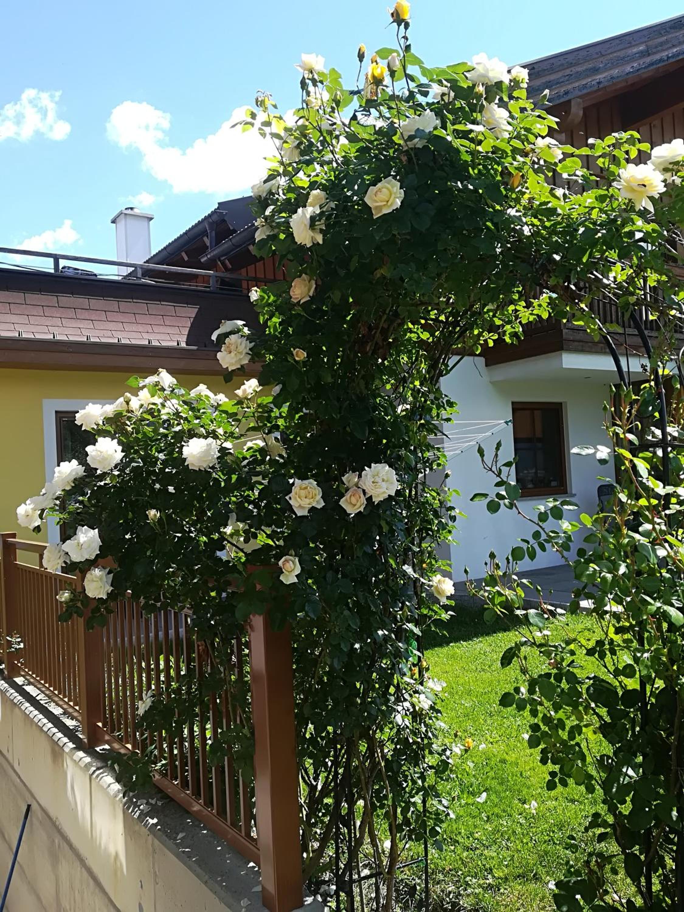 Bauernhof Unterbichl