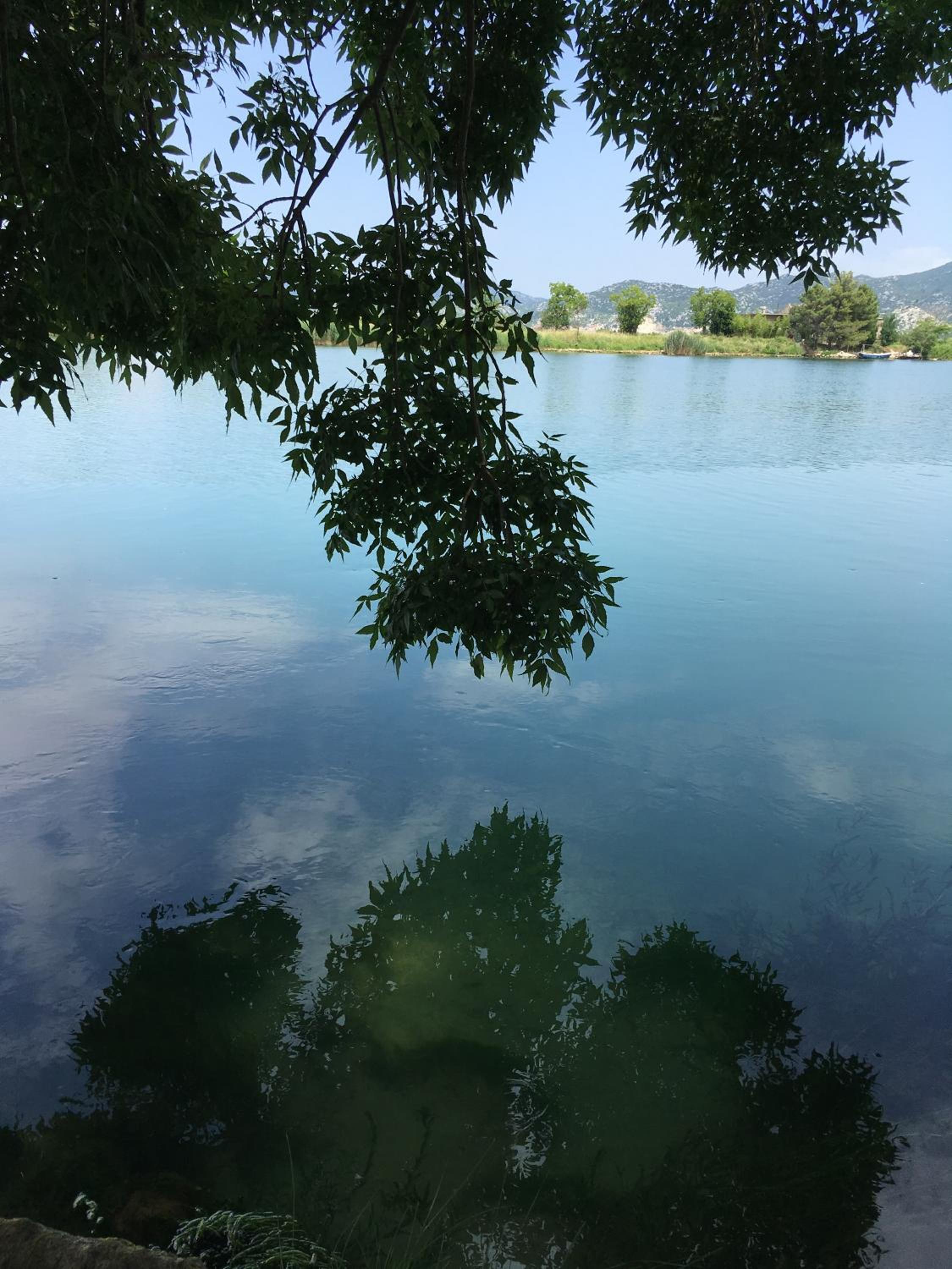 Apartment Neretva dream view 5