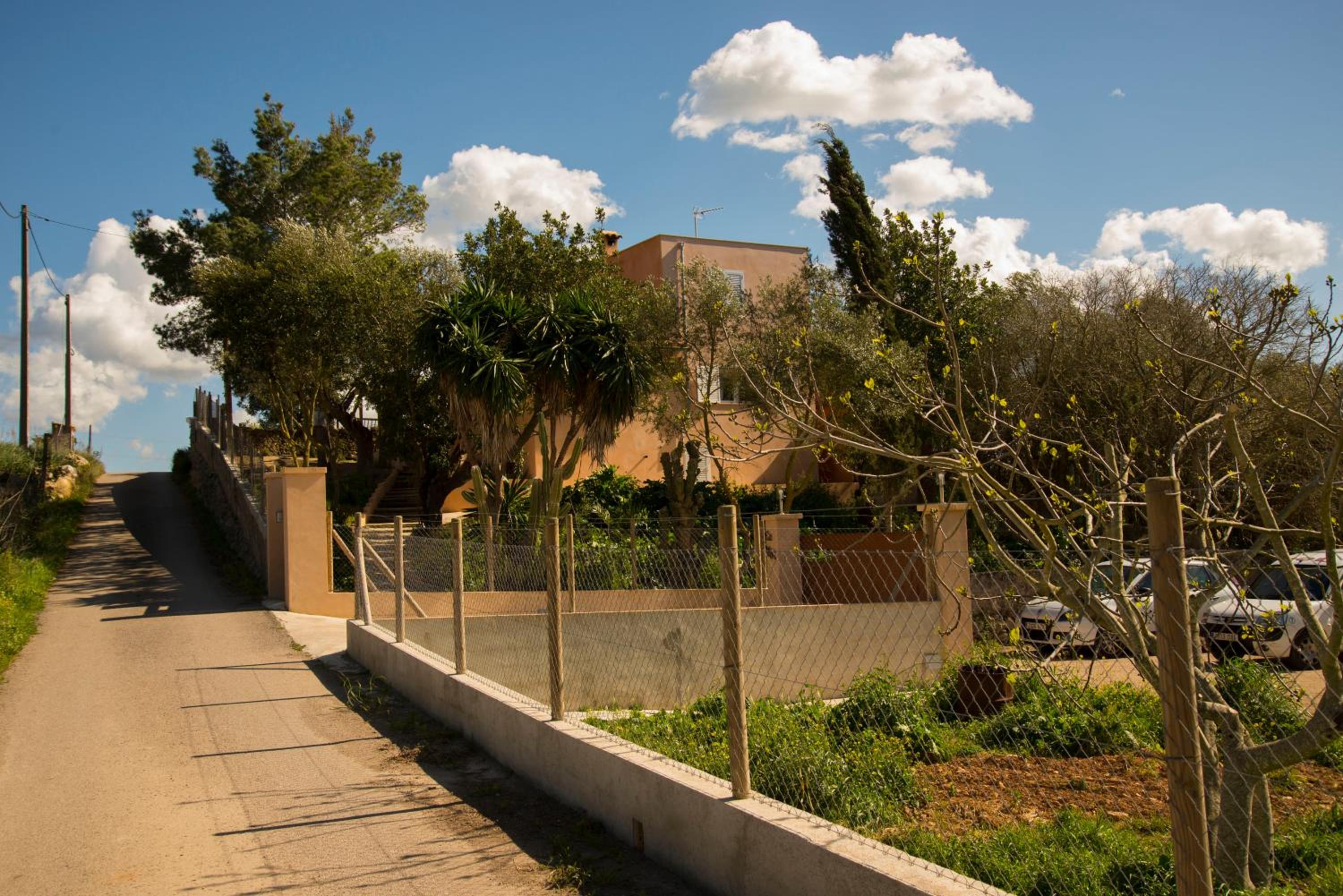 Photo 14