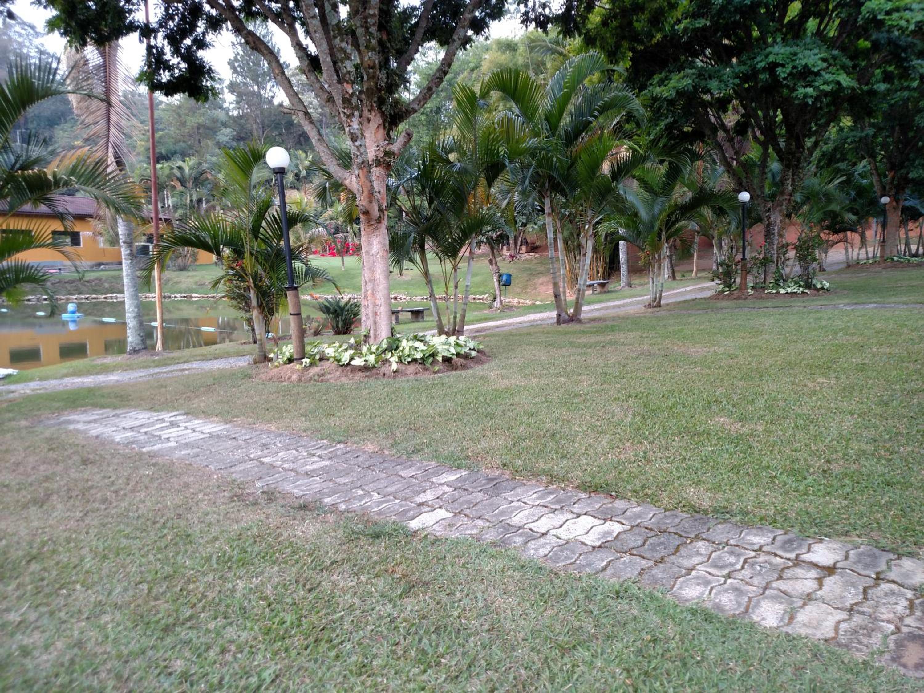 Photo 24