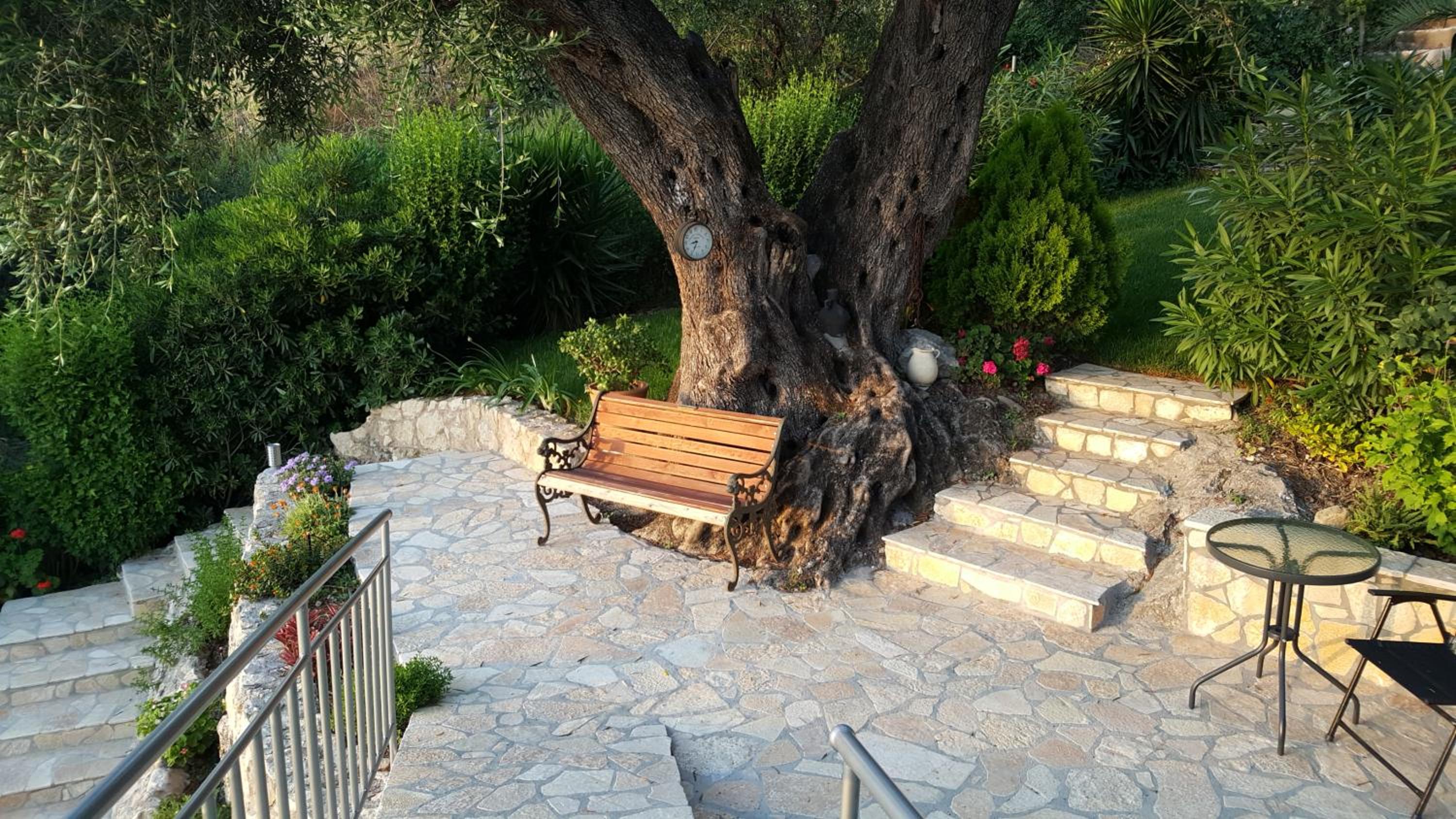Photo 14