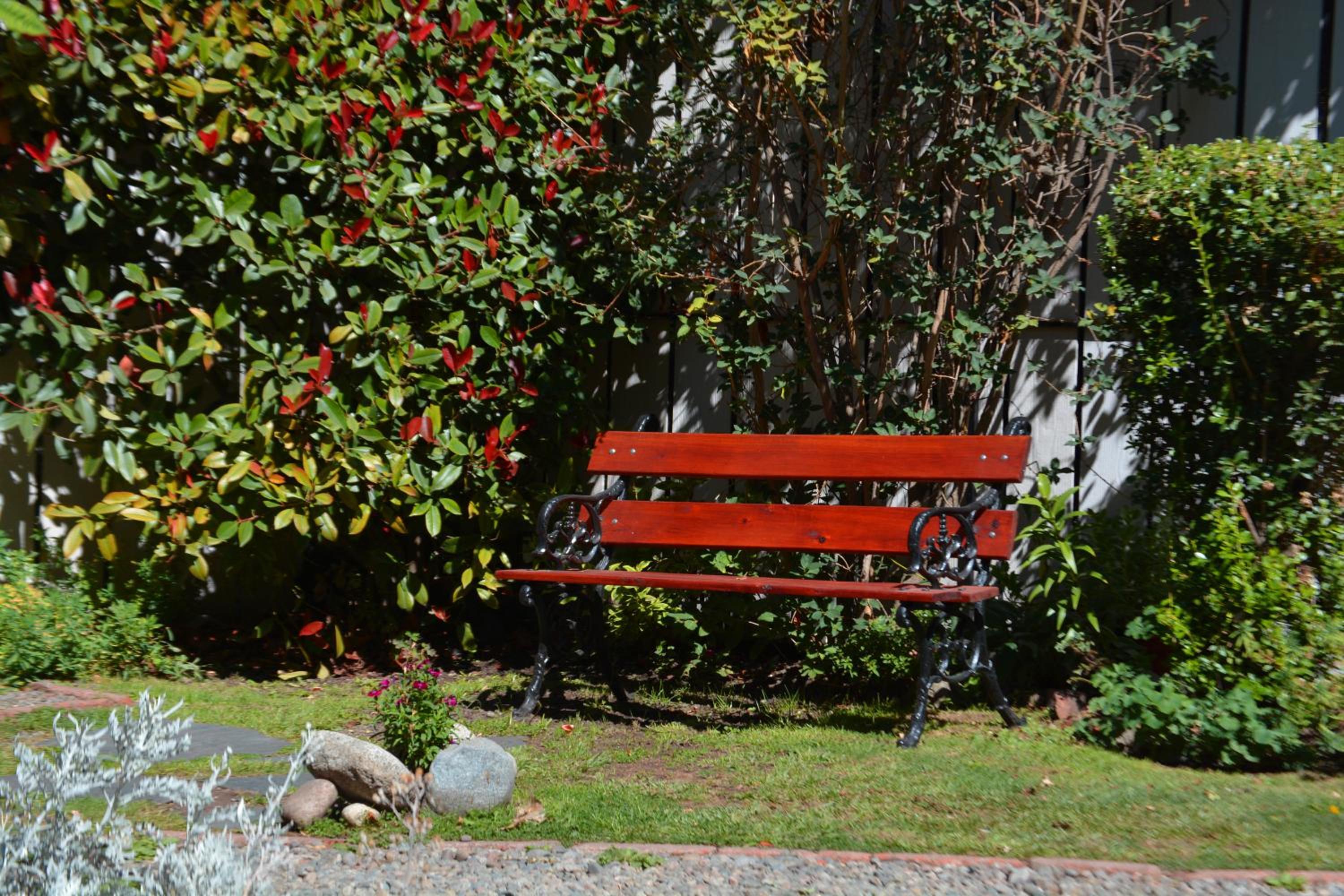 Carpe Diem Cabañas & Suites