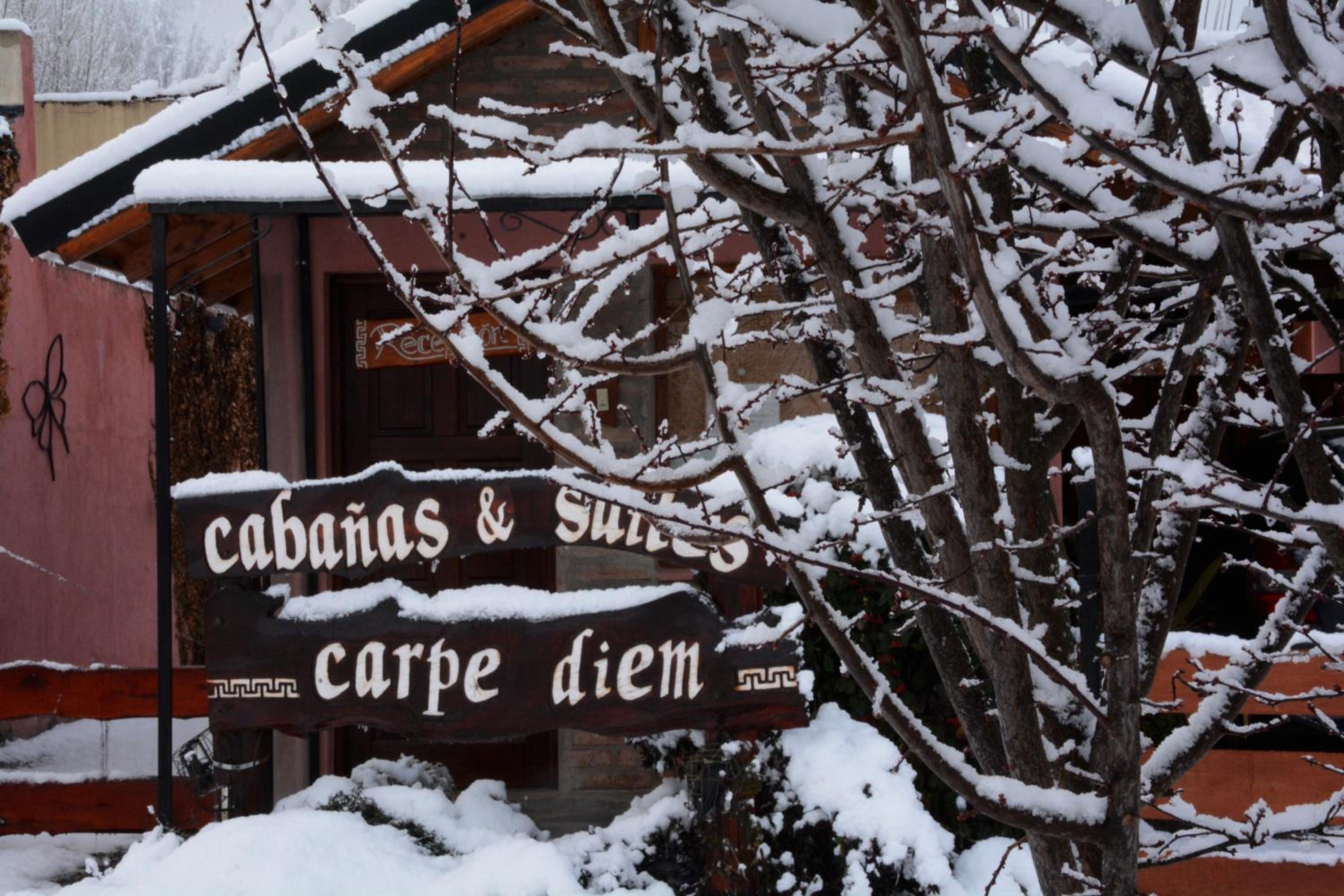 Carpe Diem Cabañas & Suites