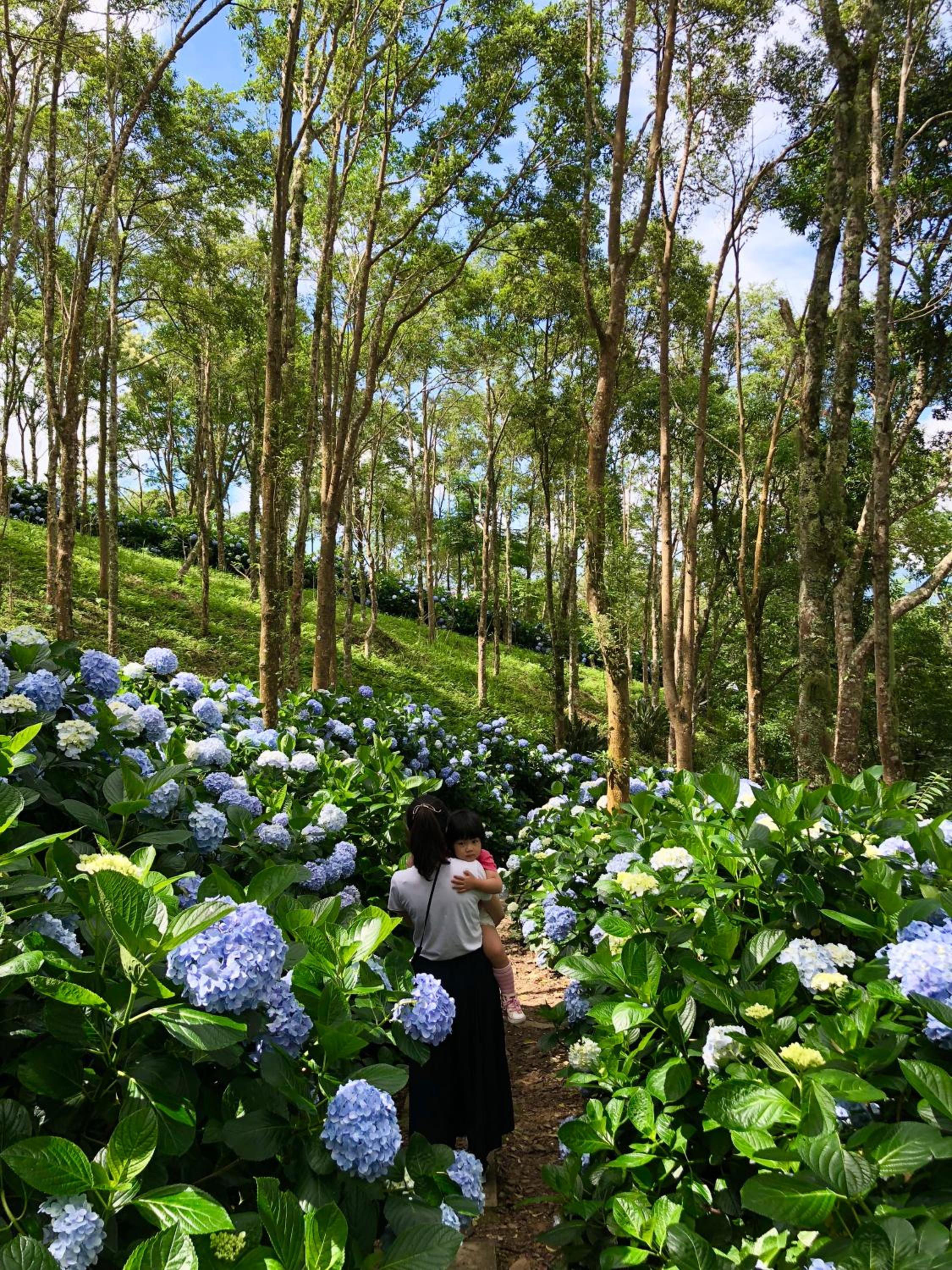 Qingshan Homestay