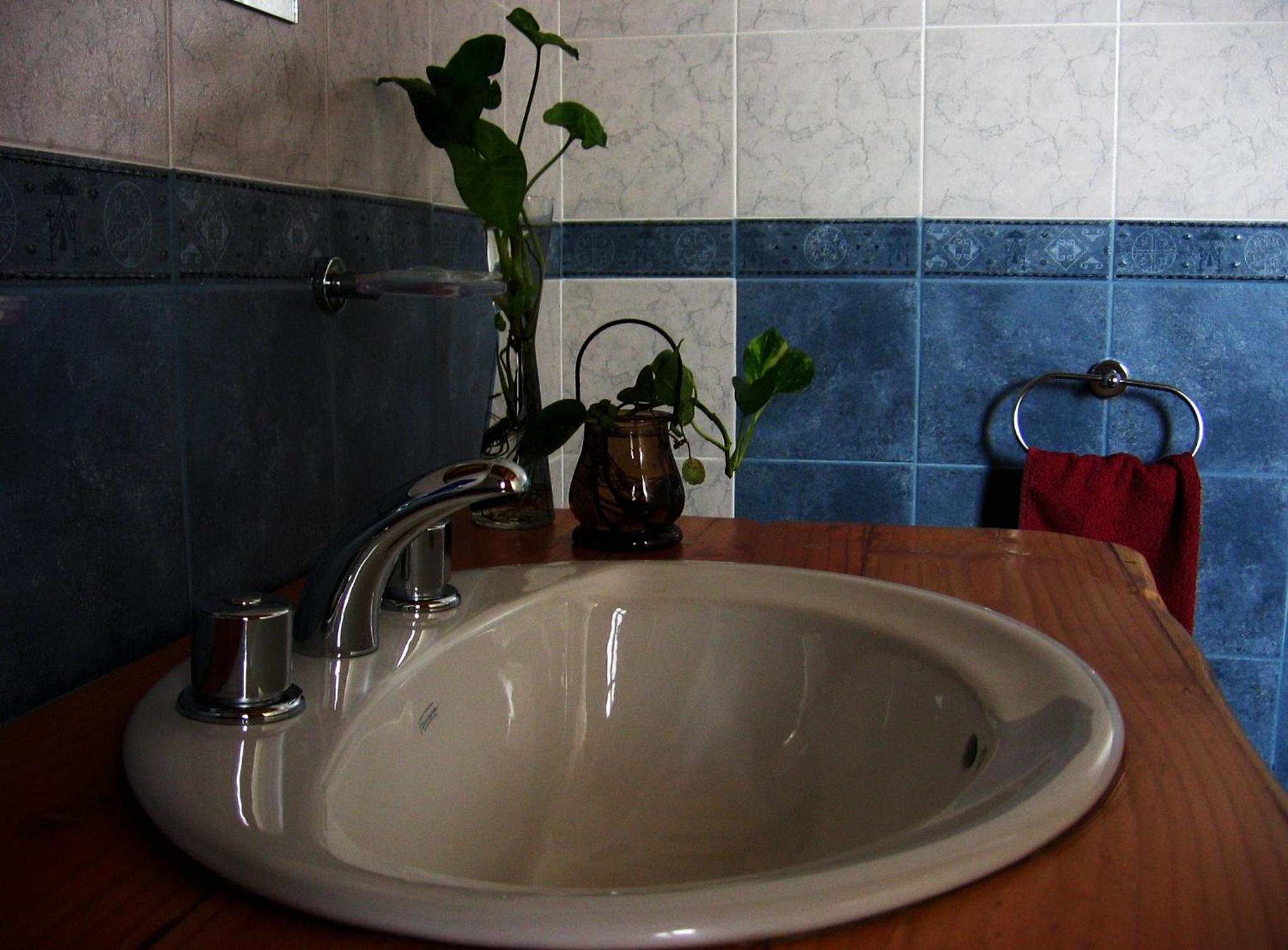 Carpe Diem Cabañas & Suites