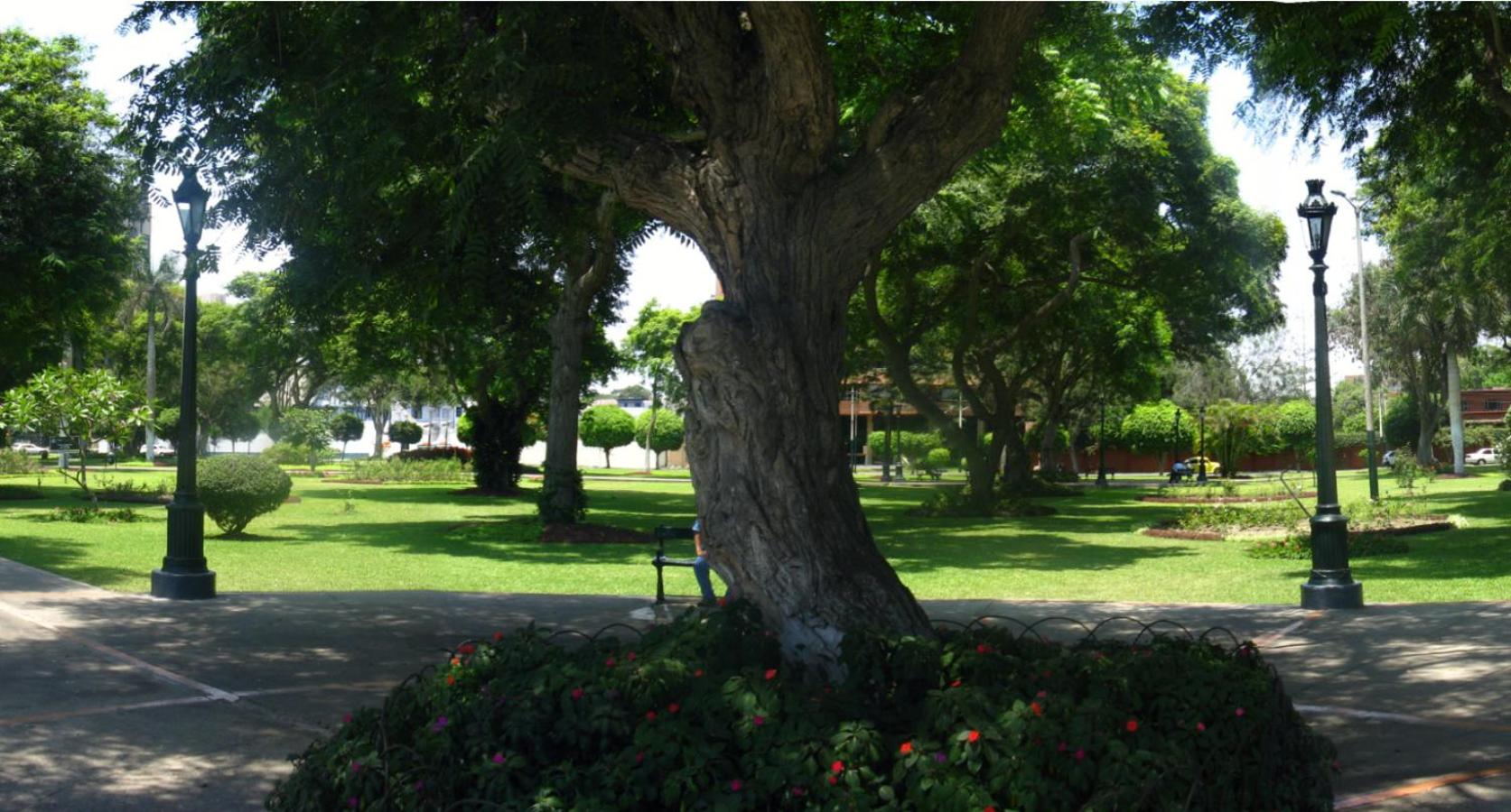 San Isidro apartment view 3