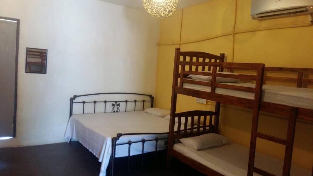 Cocoa Mews Cafe and Homestay
