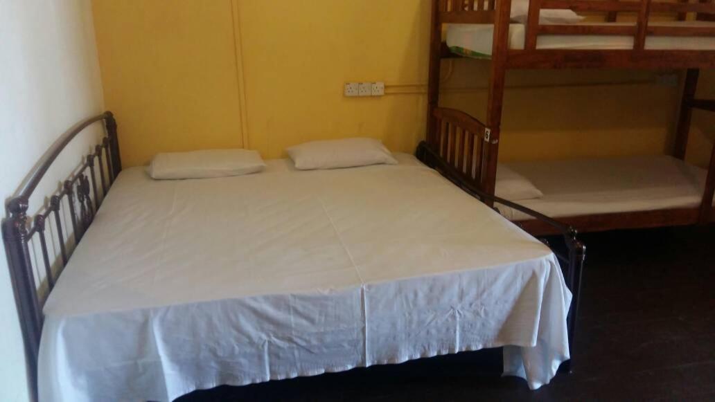 Cocoa Mews Cafe and Homestay