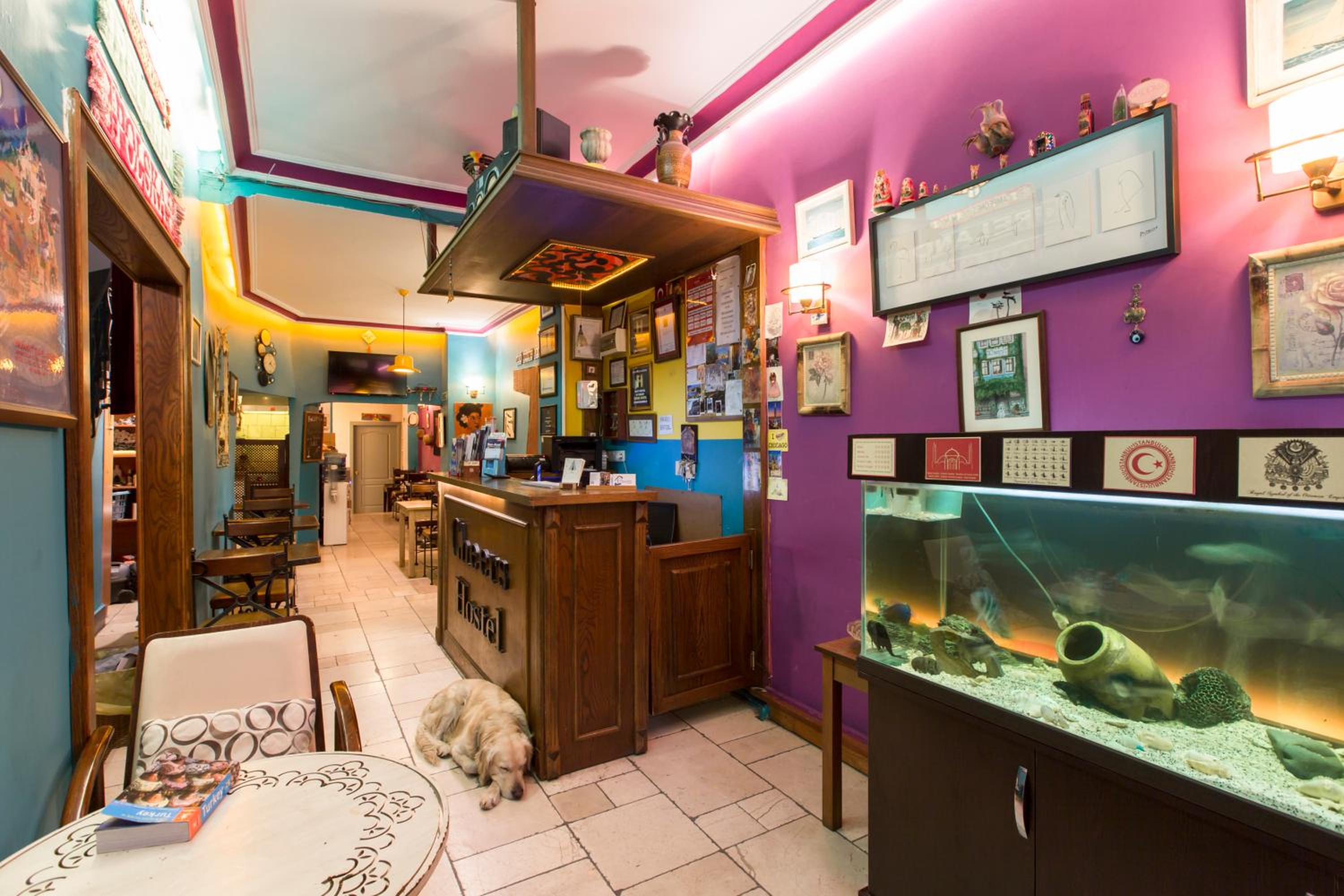 Cheers Hostel - Image 27