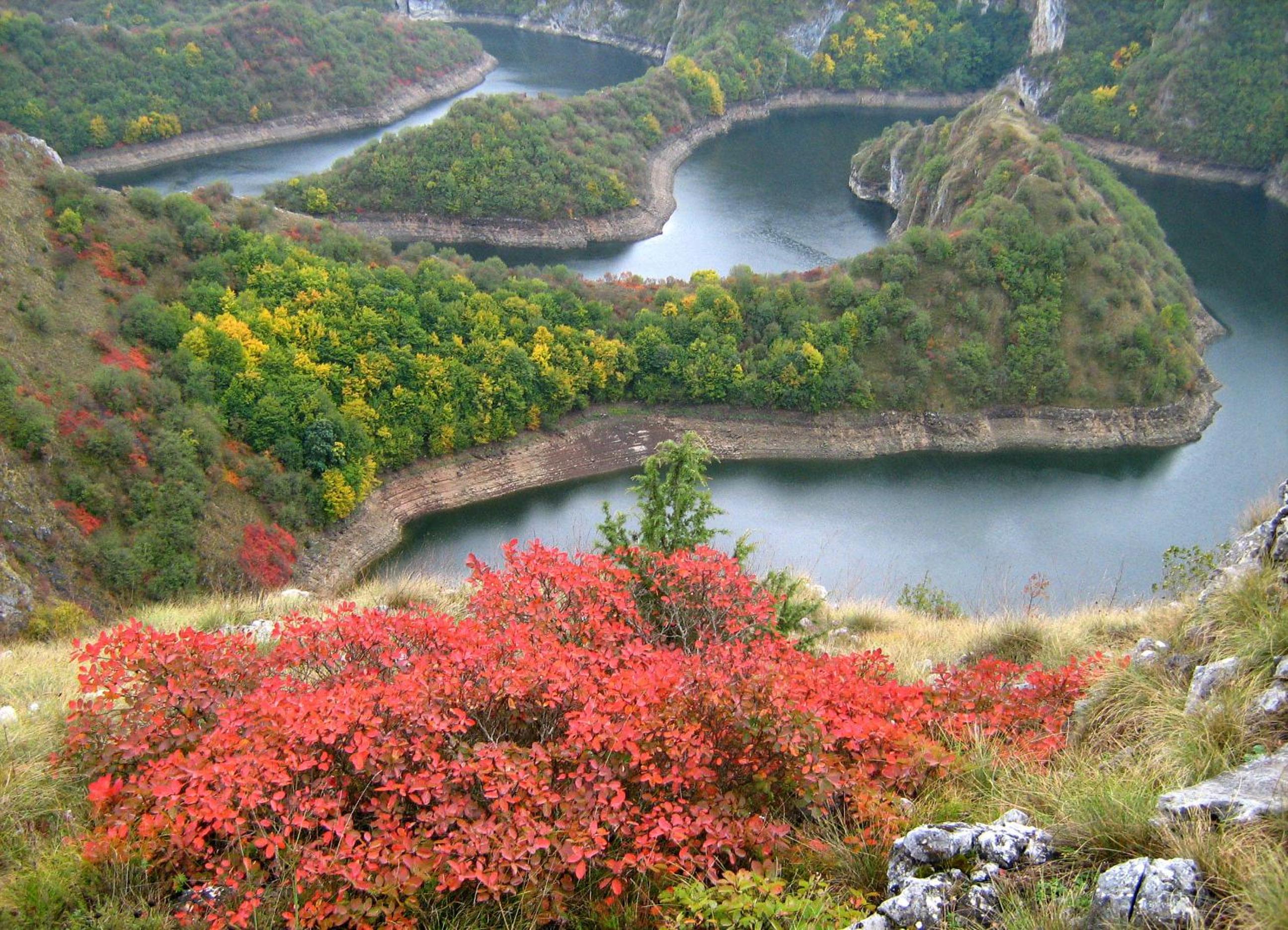 Zlatarska kruna