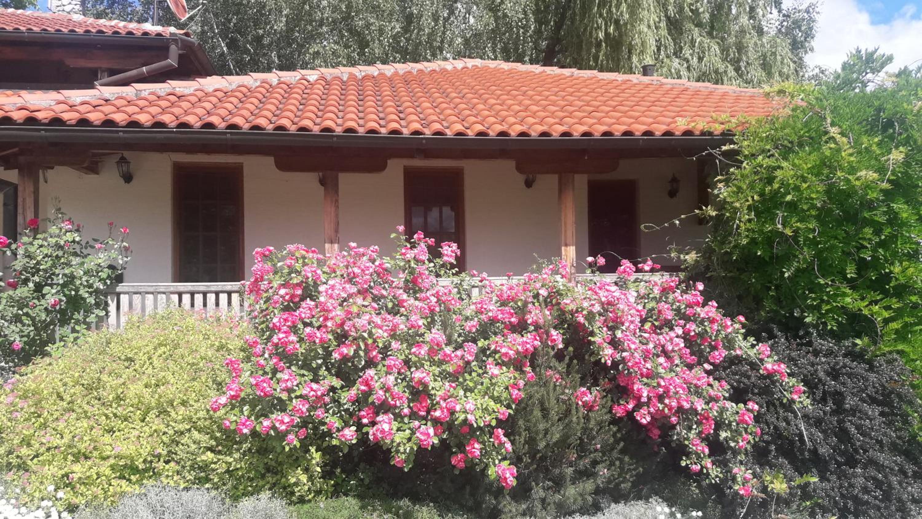 Apartmani Vinogradi view 2