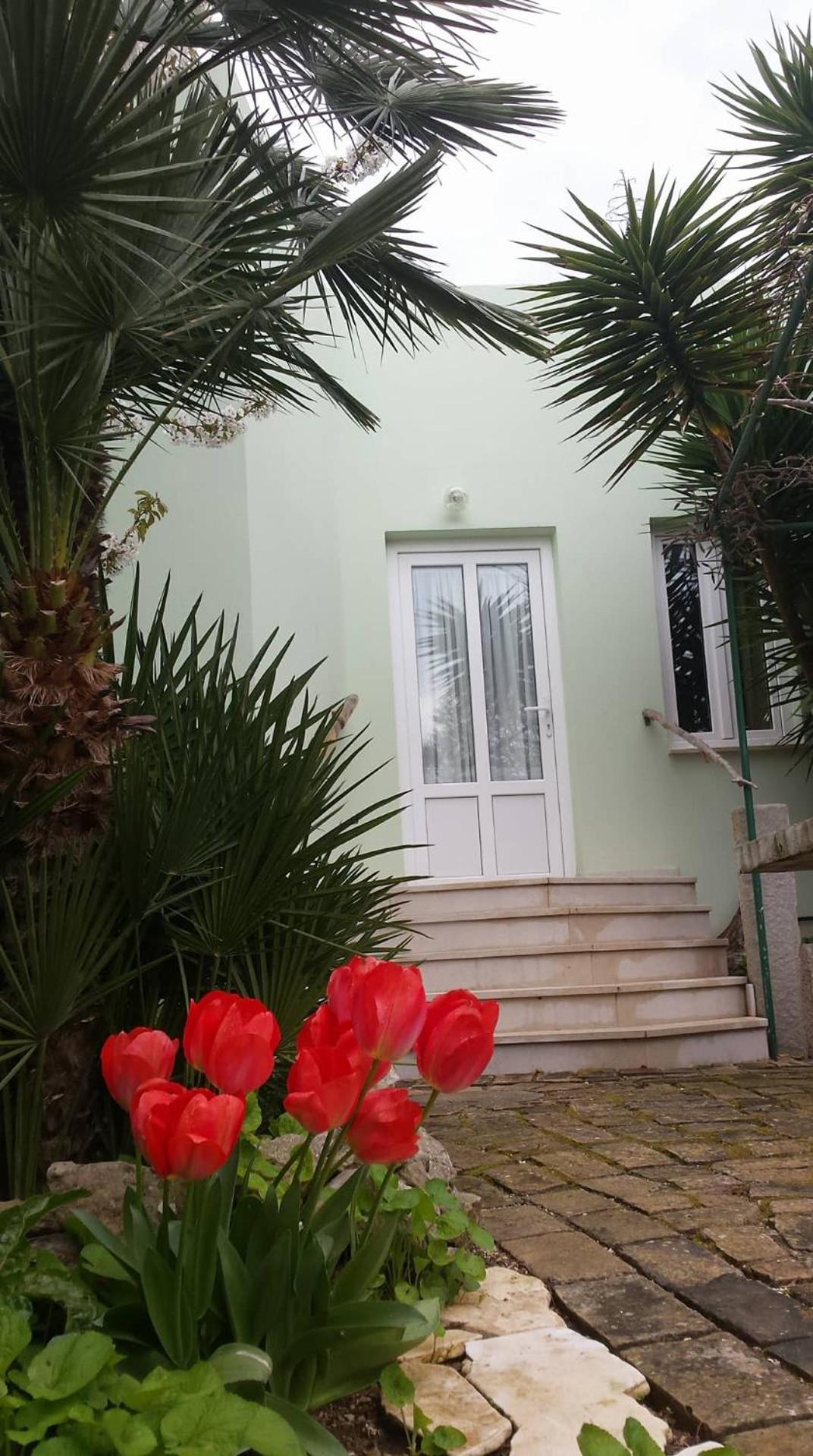 Apartment Mirjana