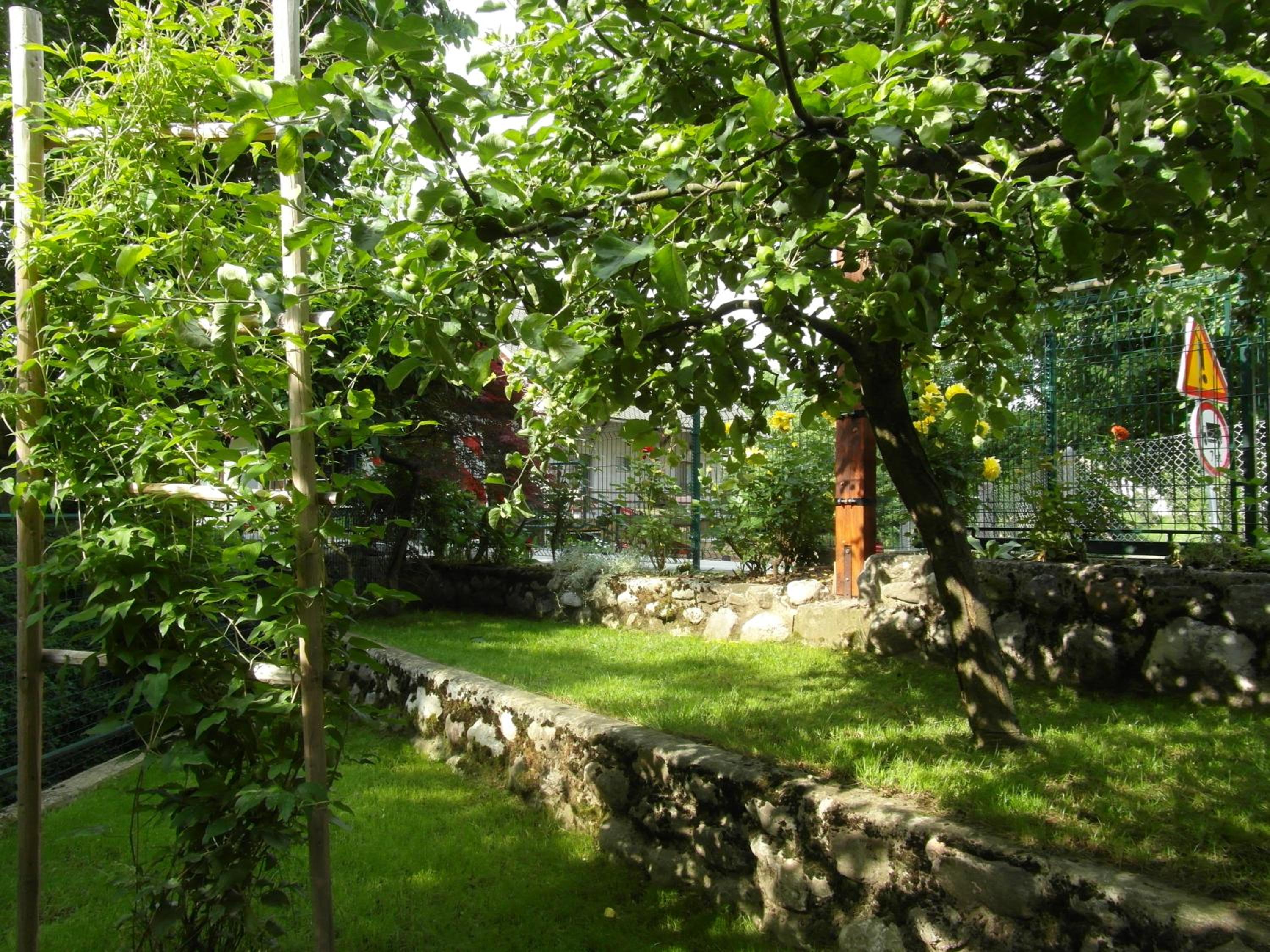 Photo 39