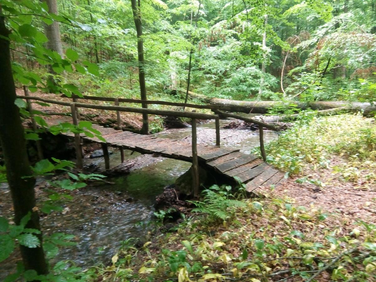 children's play area