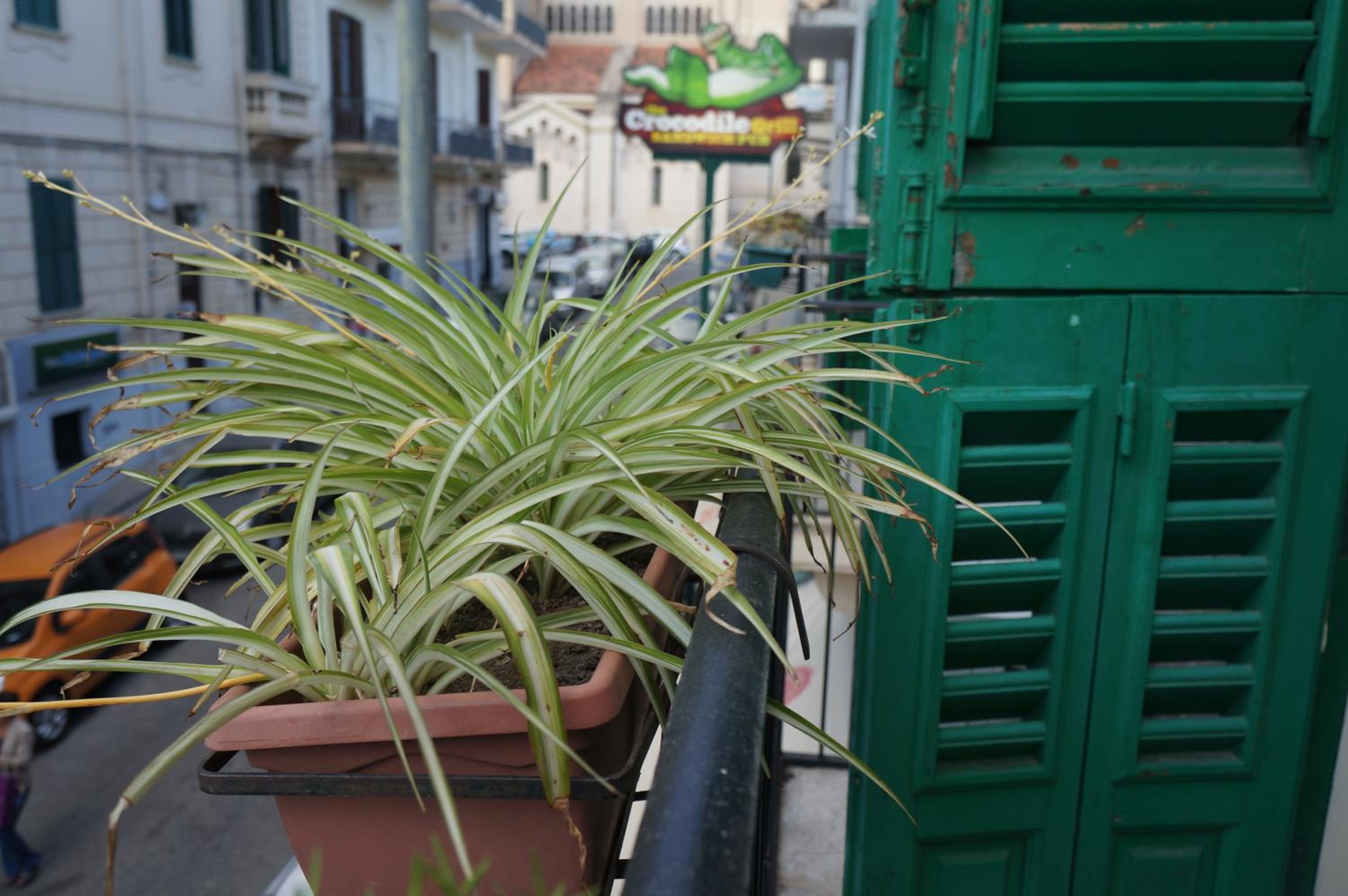 B&B Casa Laganà