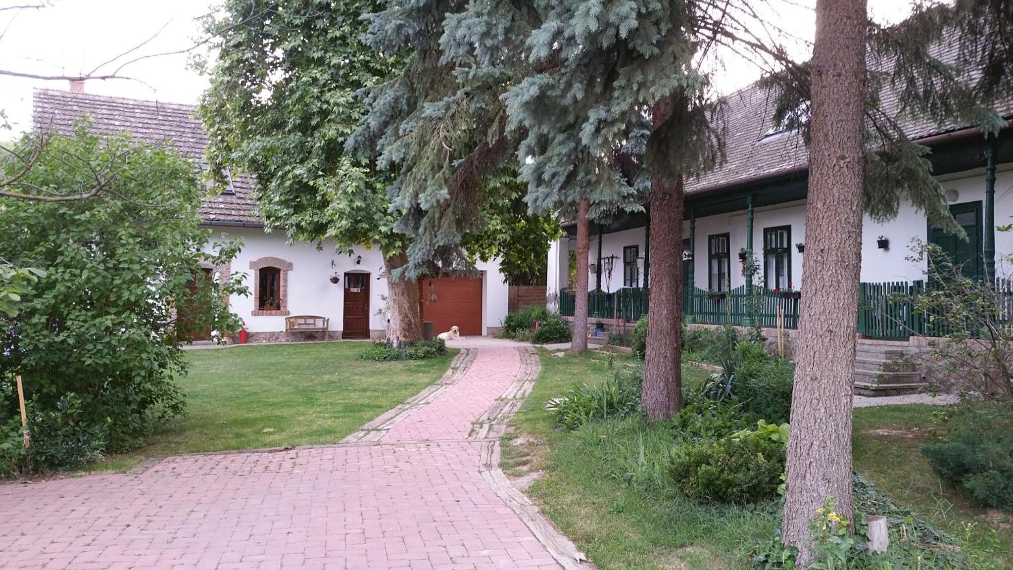 Photo 39